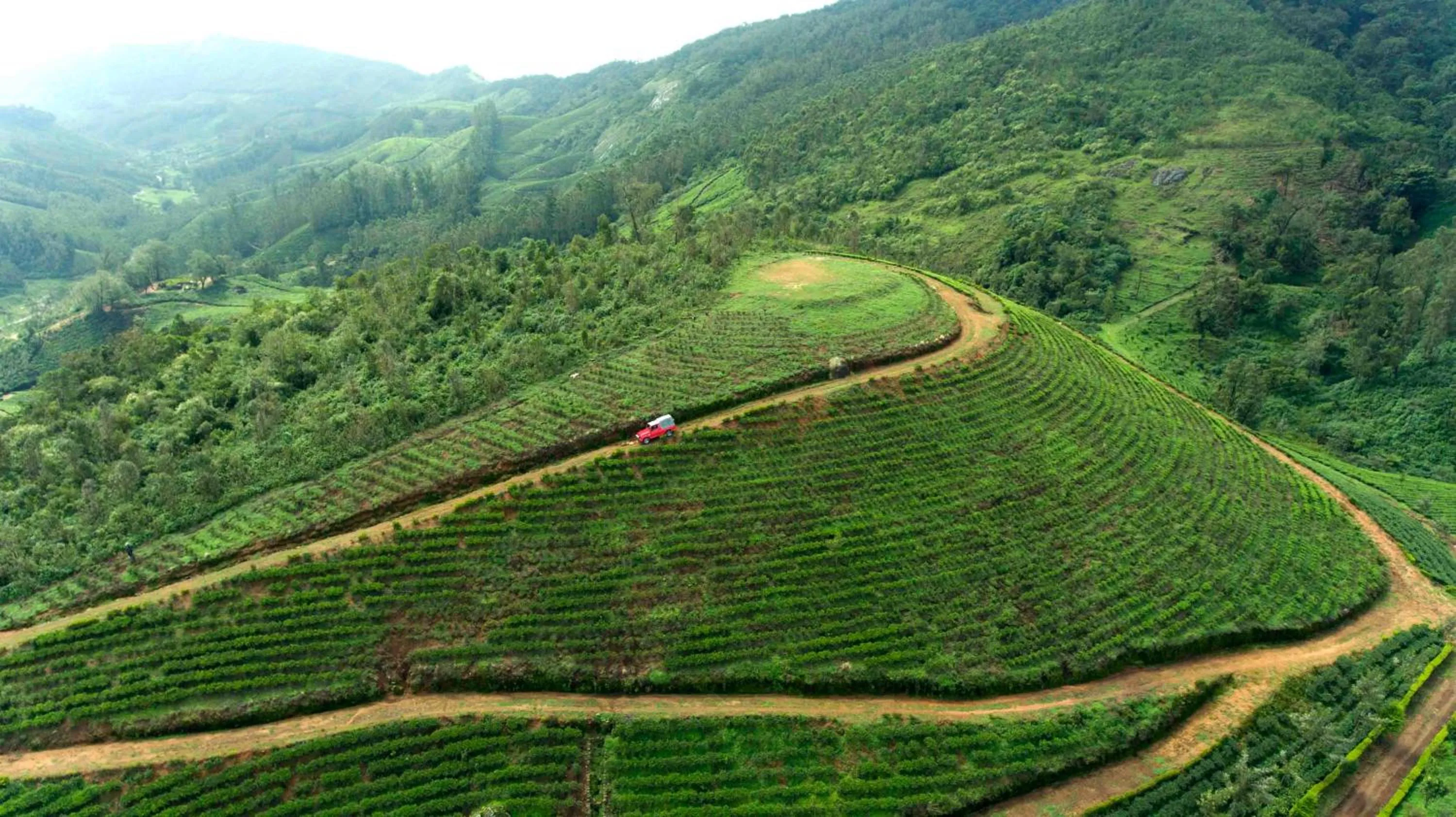 Natural landscape in Camelot Resort