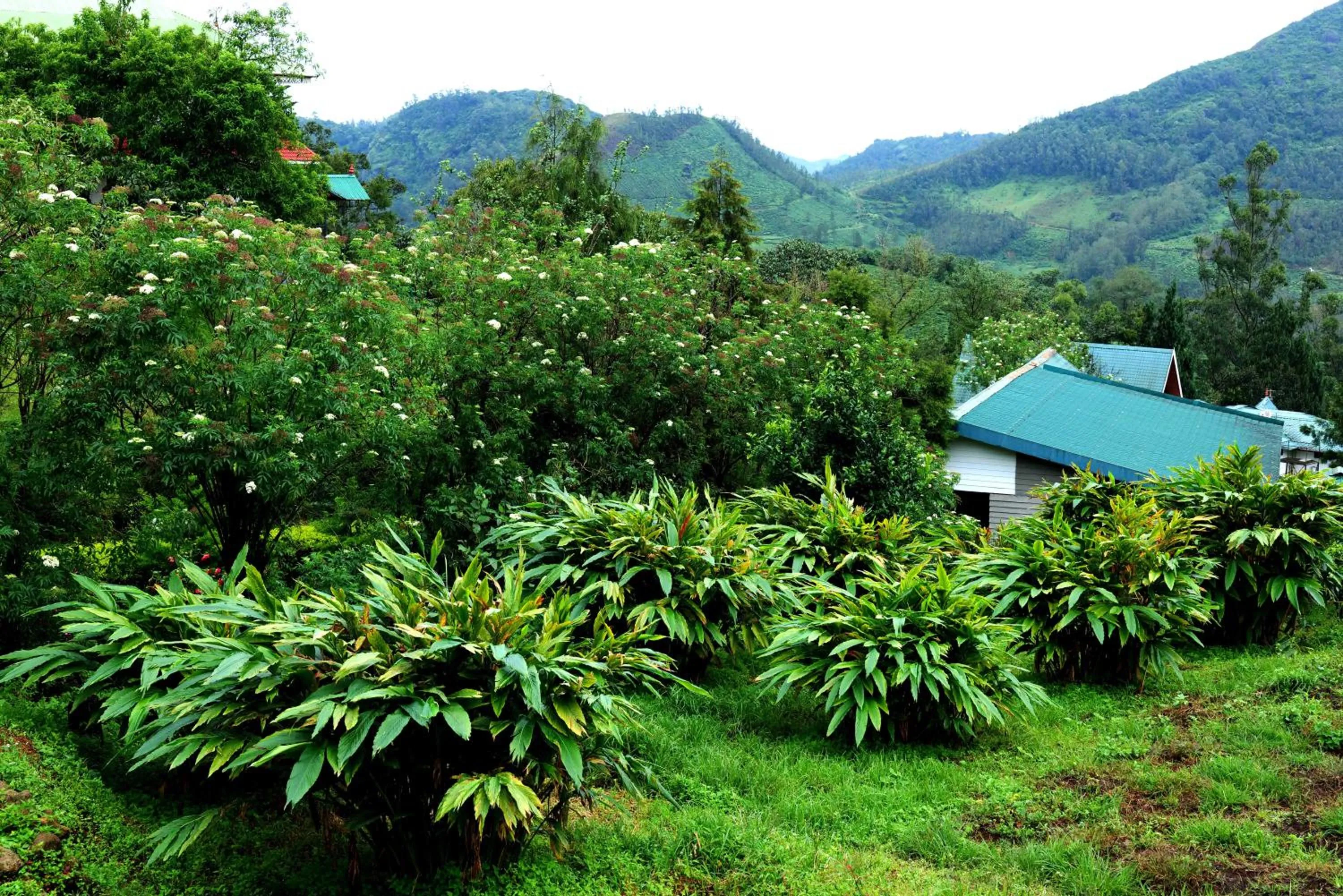 Natural landscape in Camelot Resort