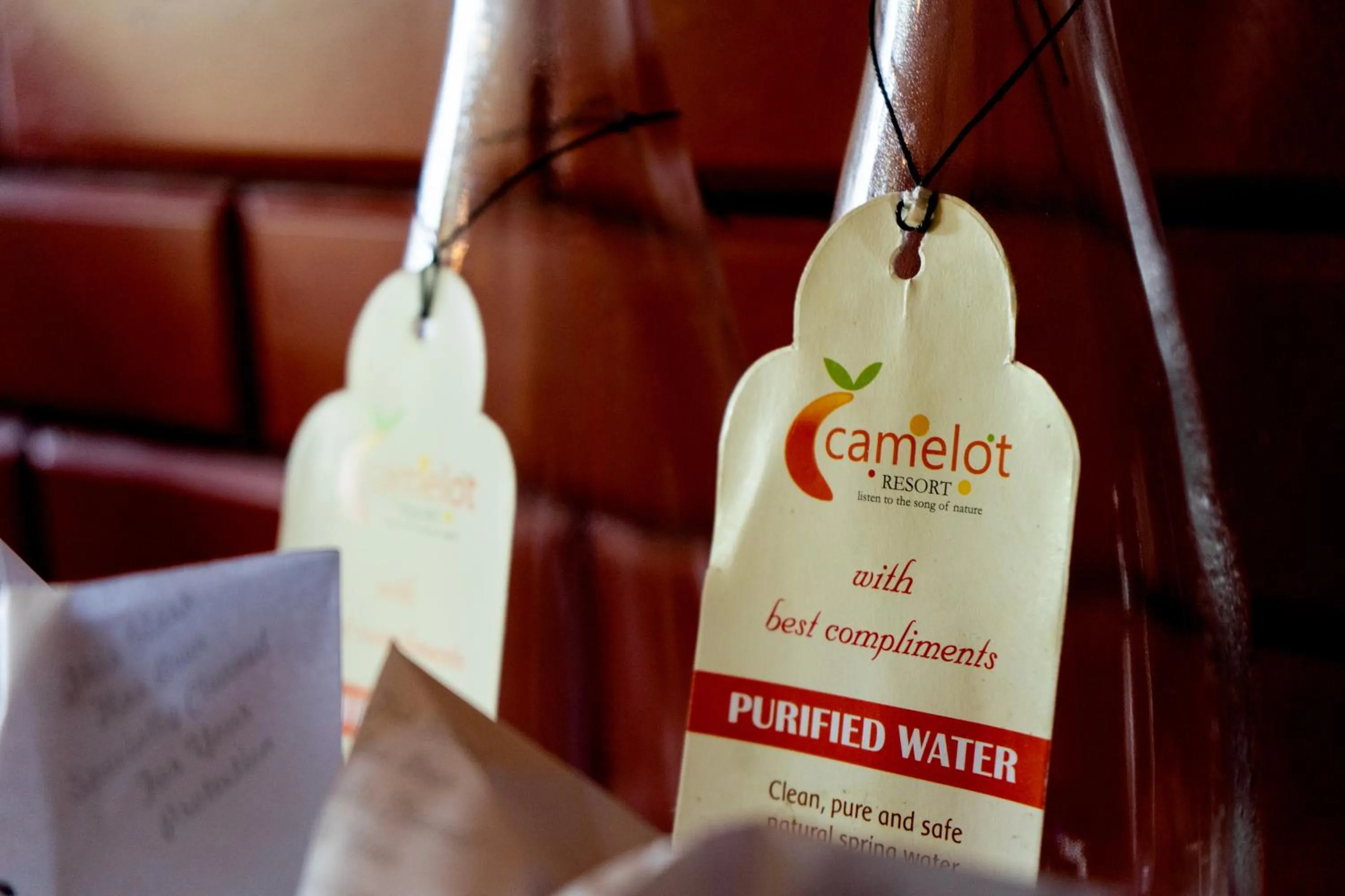 Area and facilities in Camelot Resort