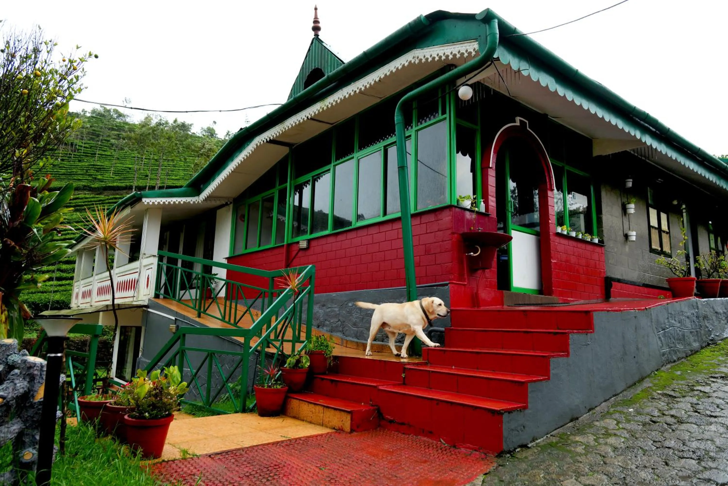 Property building in Camelot Resort