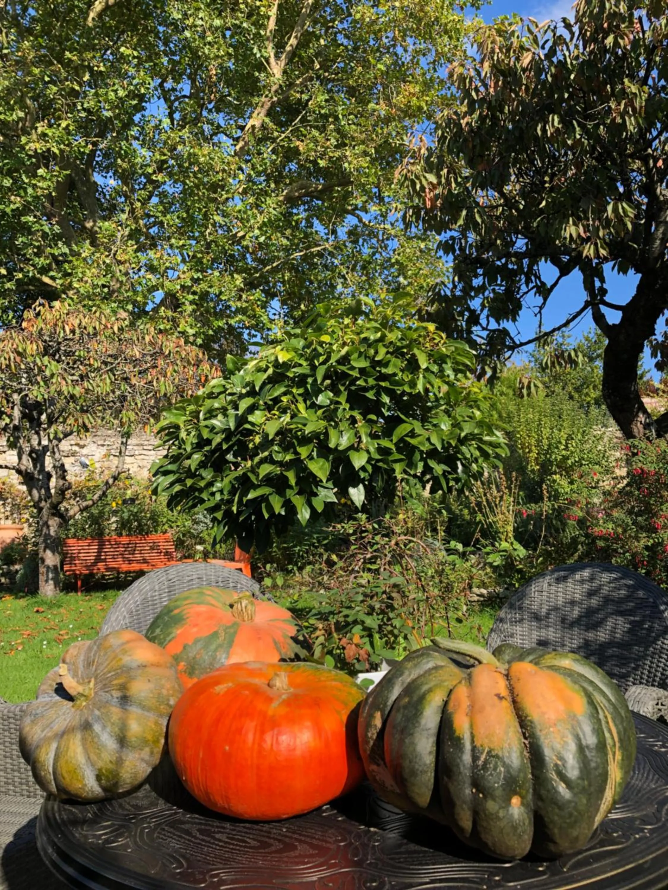 Garden in Aggarthi Bed and Breakfast