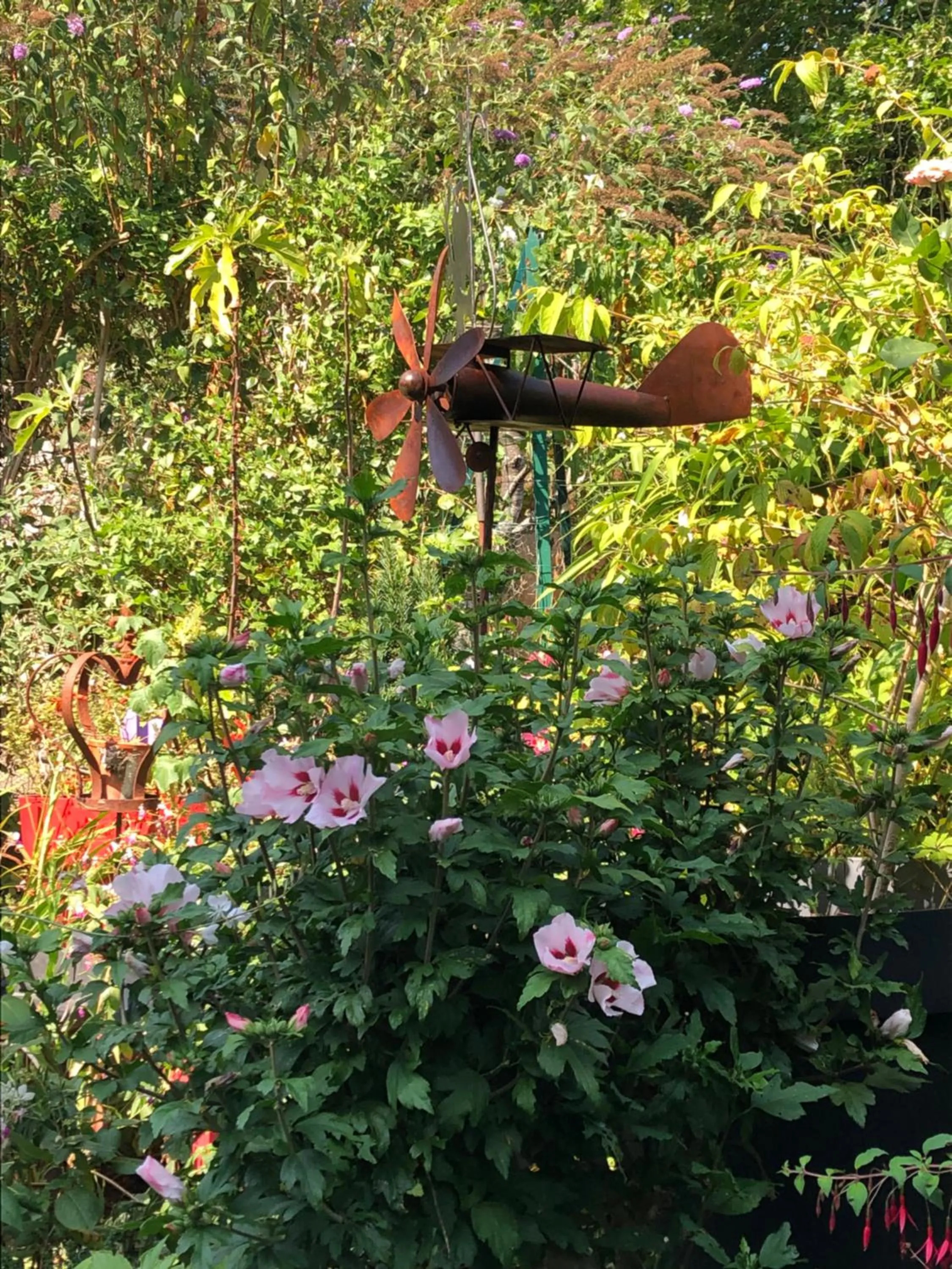 Garden in Aggarthi Bed and Breakfast