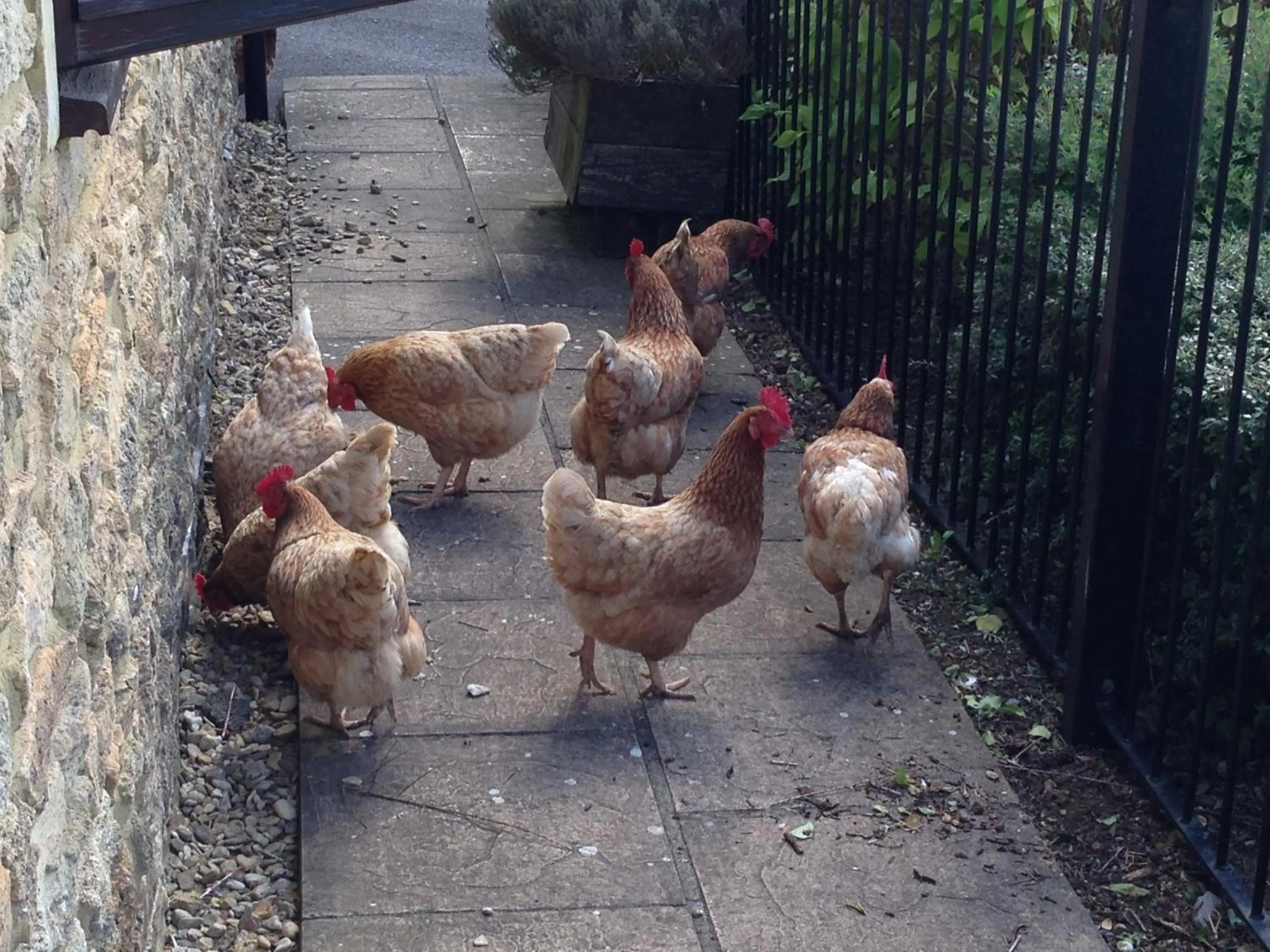 Other in Norbin Farm