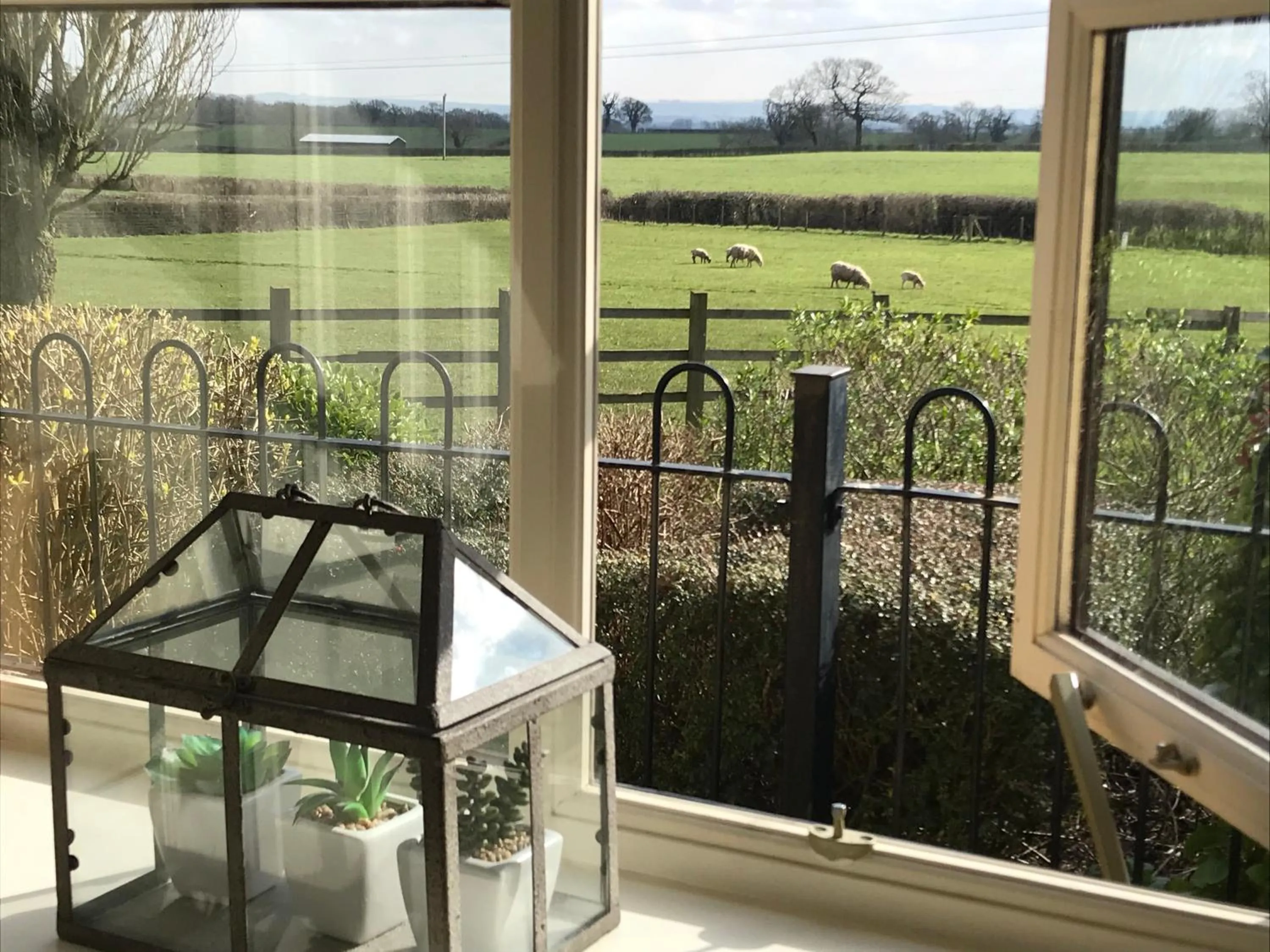 View (from property/room) in Norbin Farm