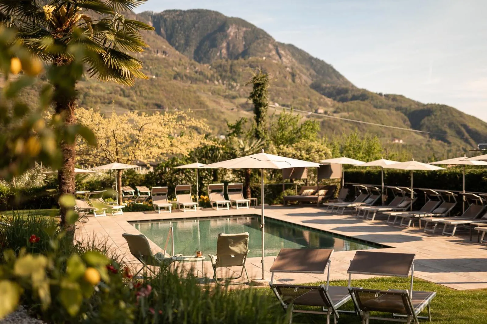 Spring in Hotel Salgart