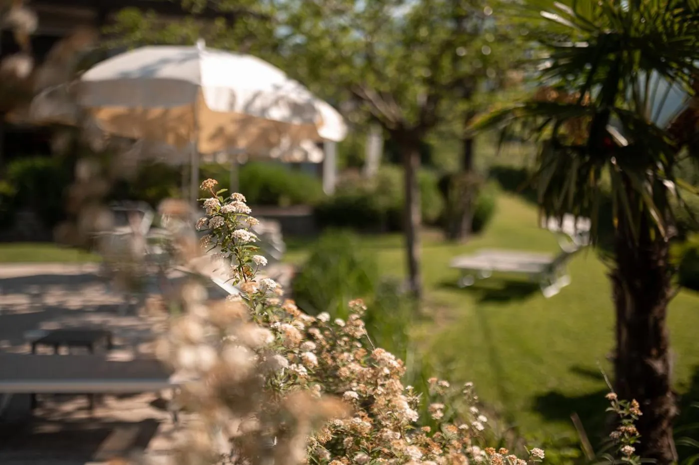 Garden in Hotel Salgart