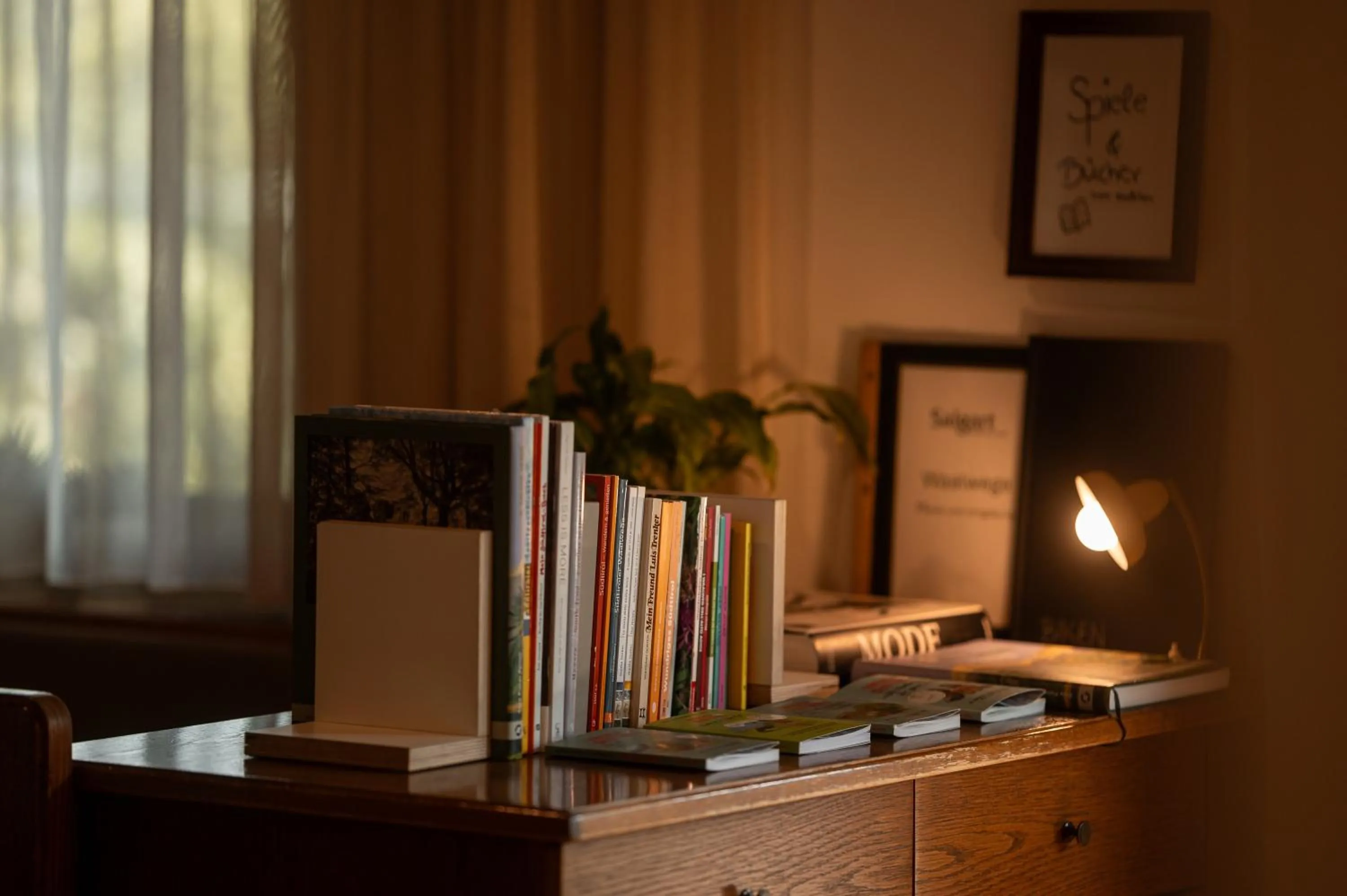 Library in Hotel Salgart