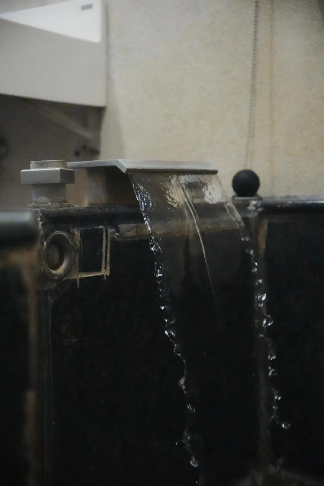 Youngs Hotspring Hotel