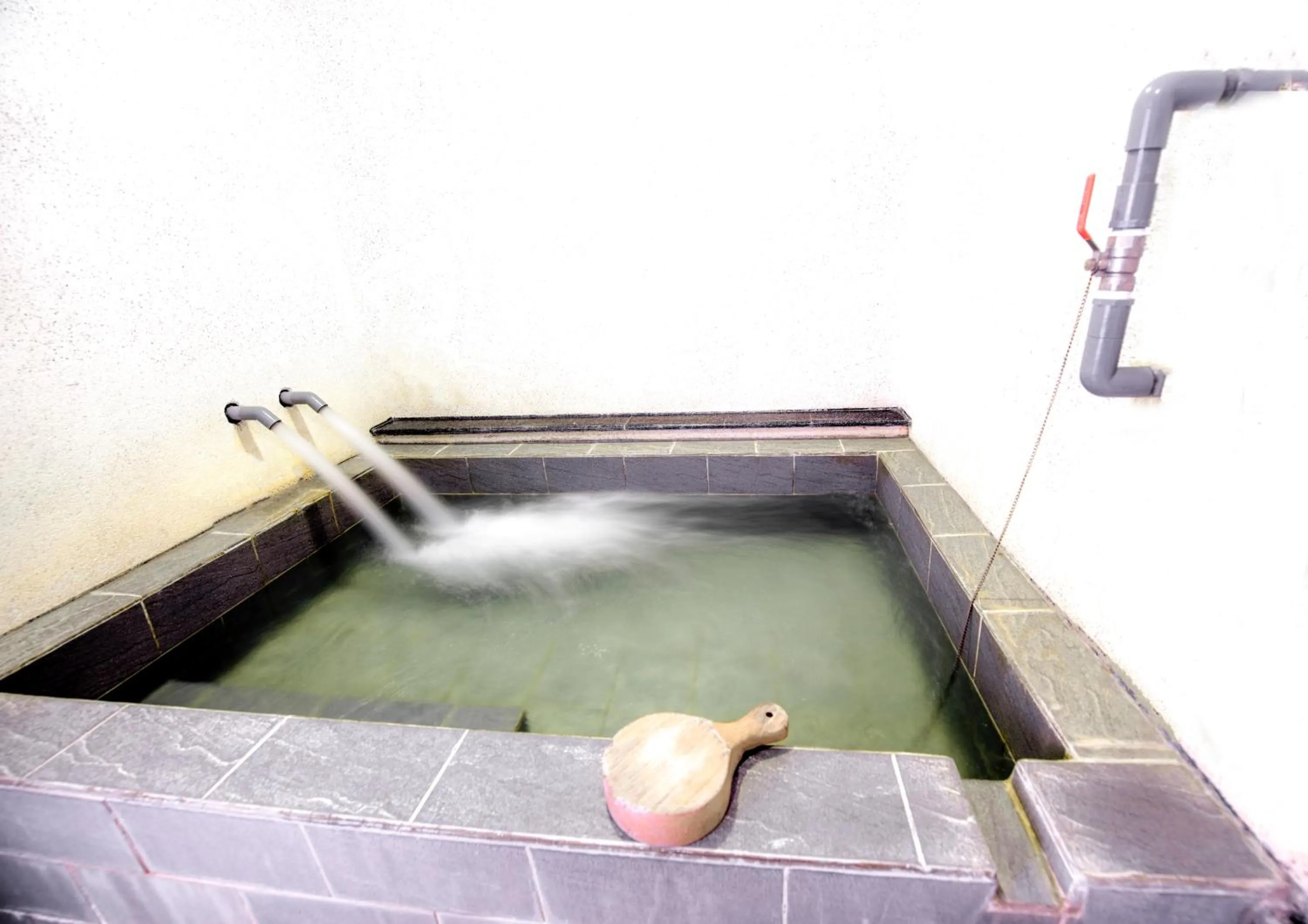 Youngs Hotspring Hotel