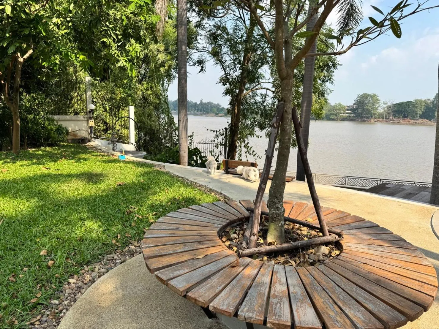 Garden in La Riva Boutique Hotel