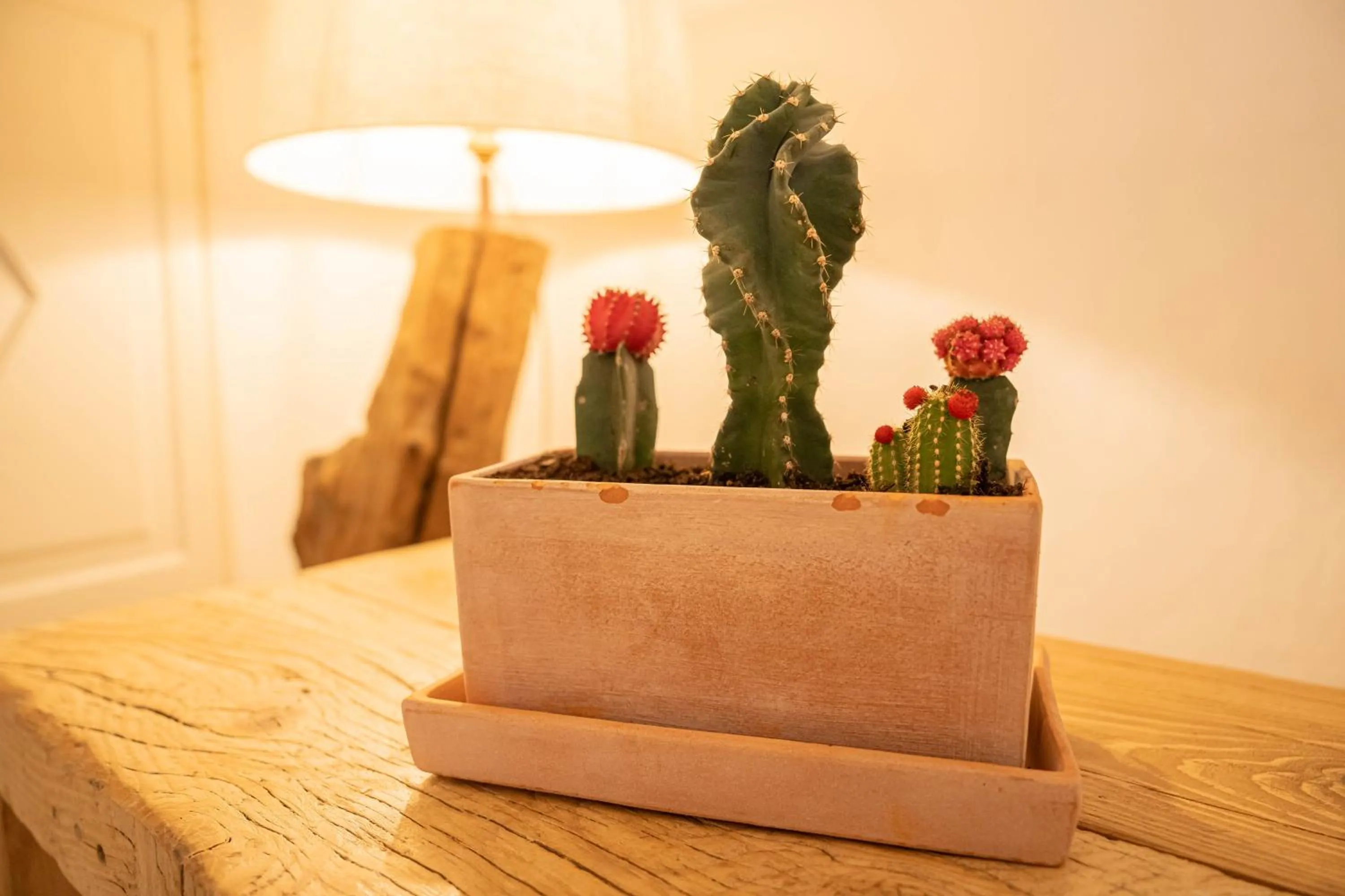 Hotel Los 5 Sentidos