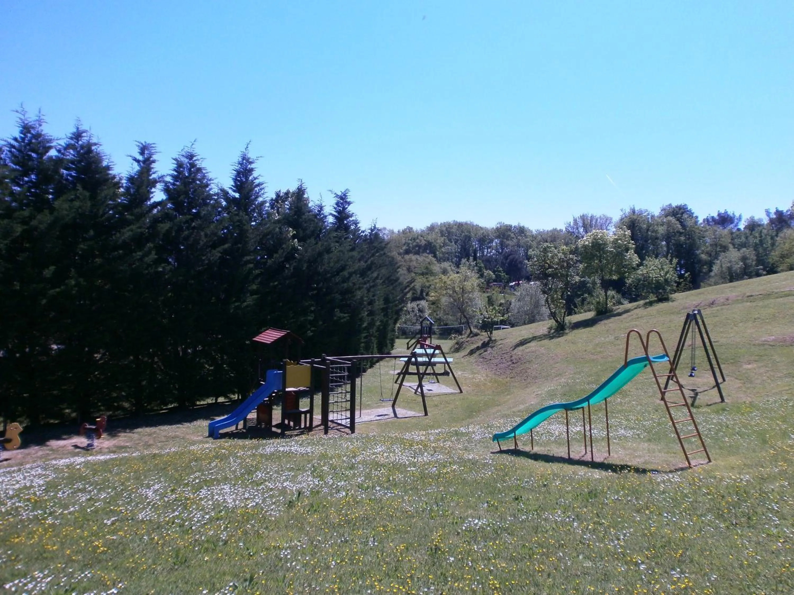 Bird's eye view in Camping Village Il Poggetto