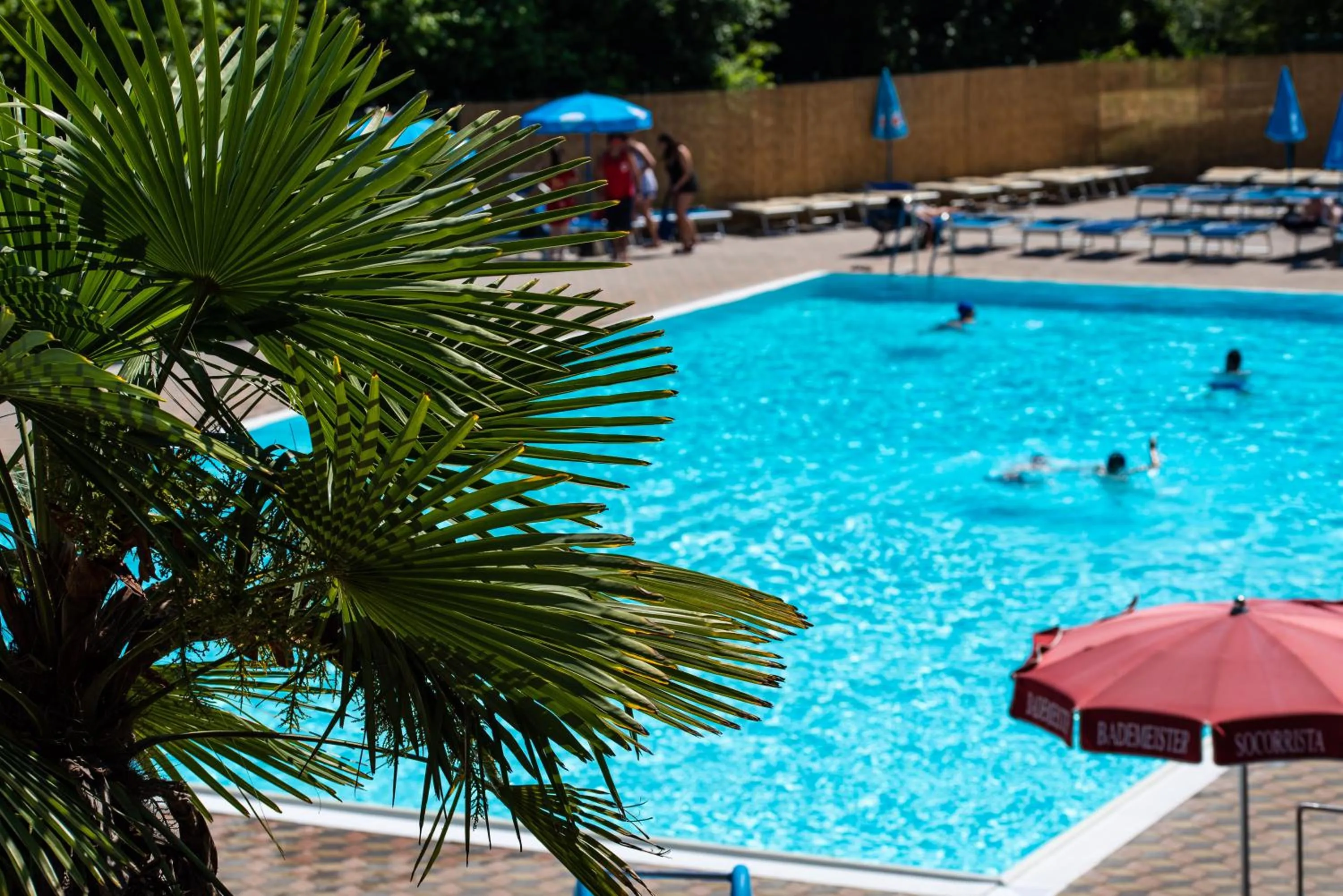 Swimming pool in Camping Village Il Poggetto
