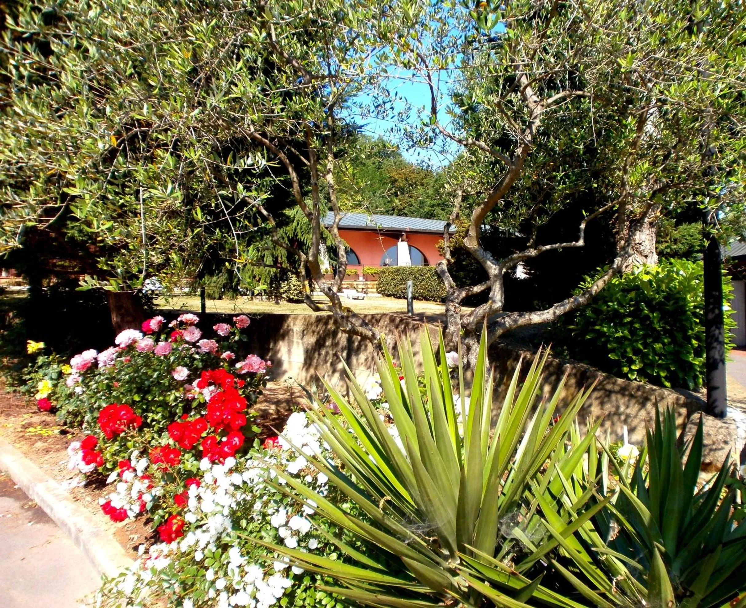Decorative detail in Camping Village Il Poggetto