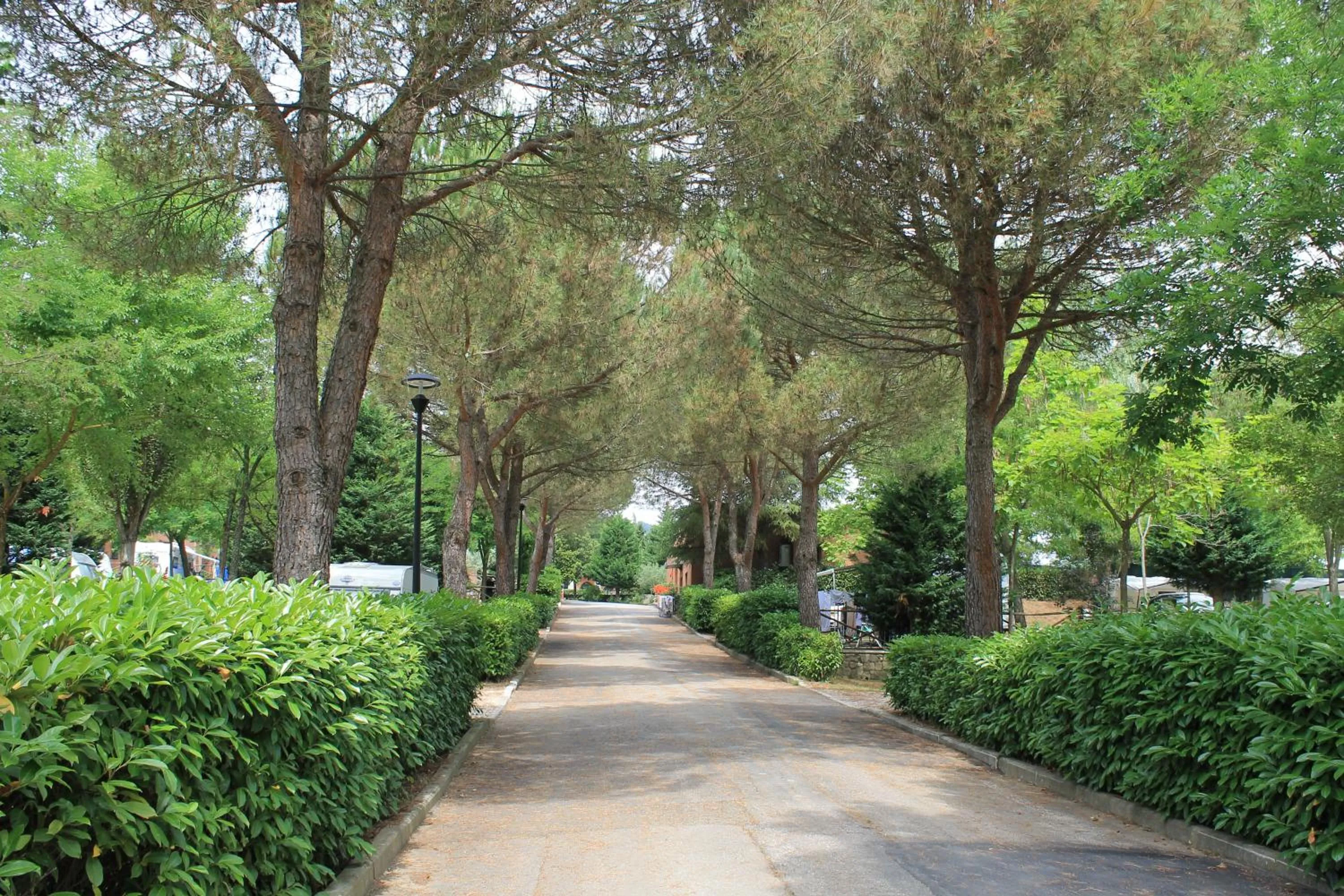 Street view in Camping Village Il Poggetto