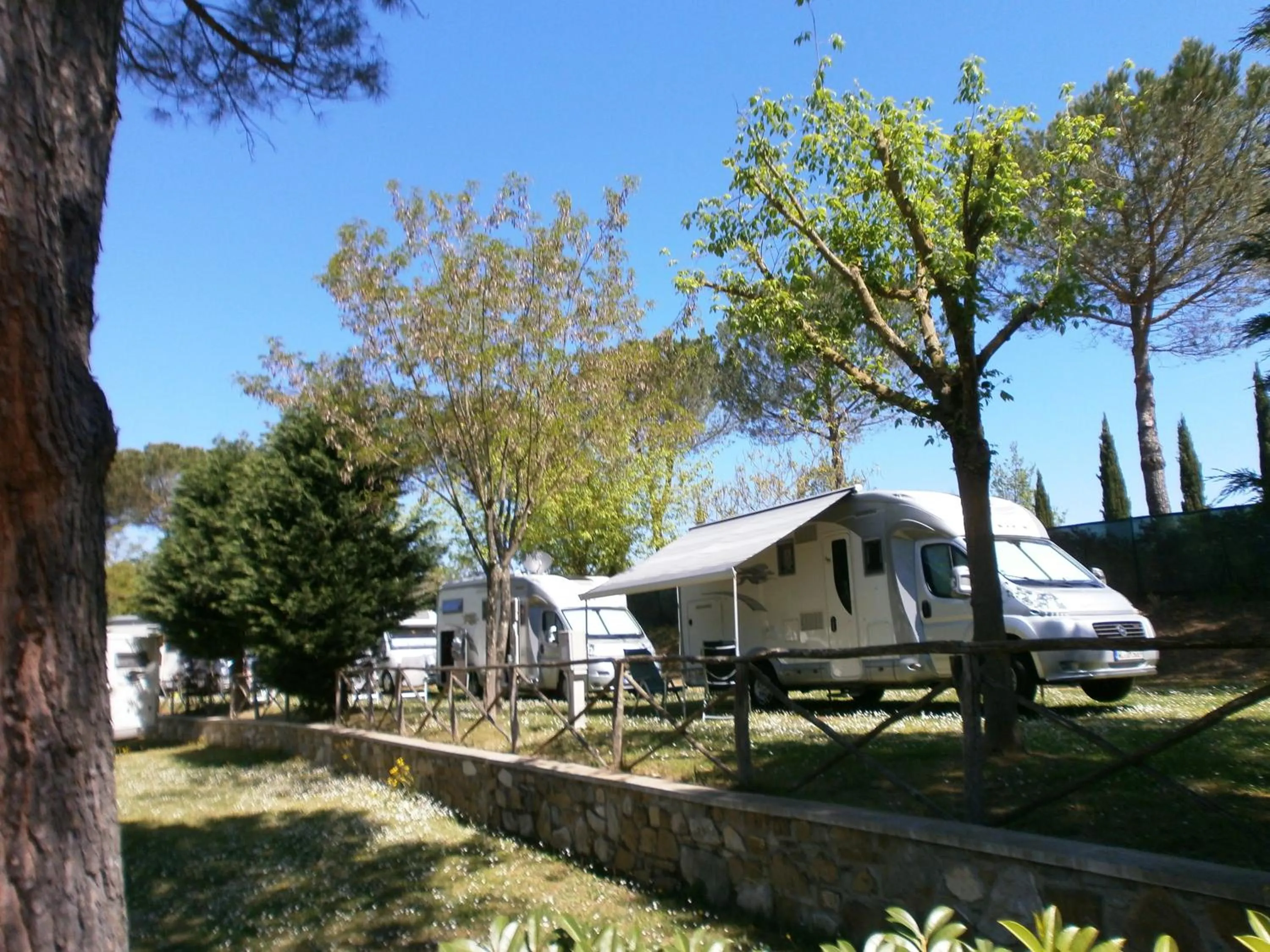 Decorative detail in Camping Village Il Poggetto