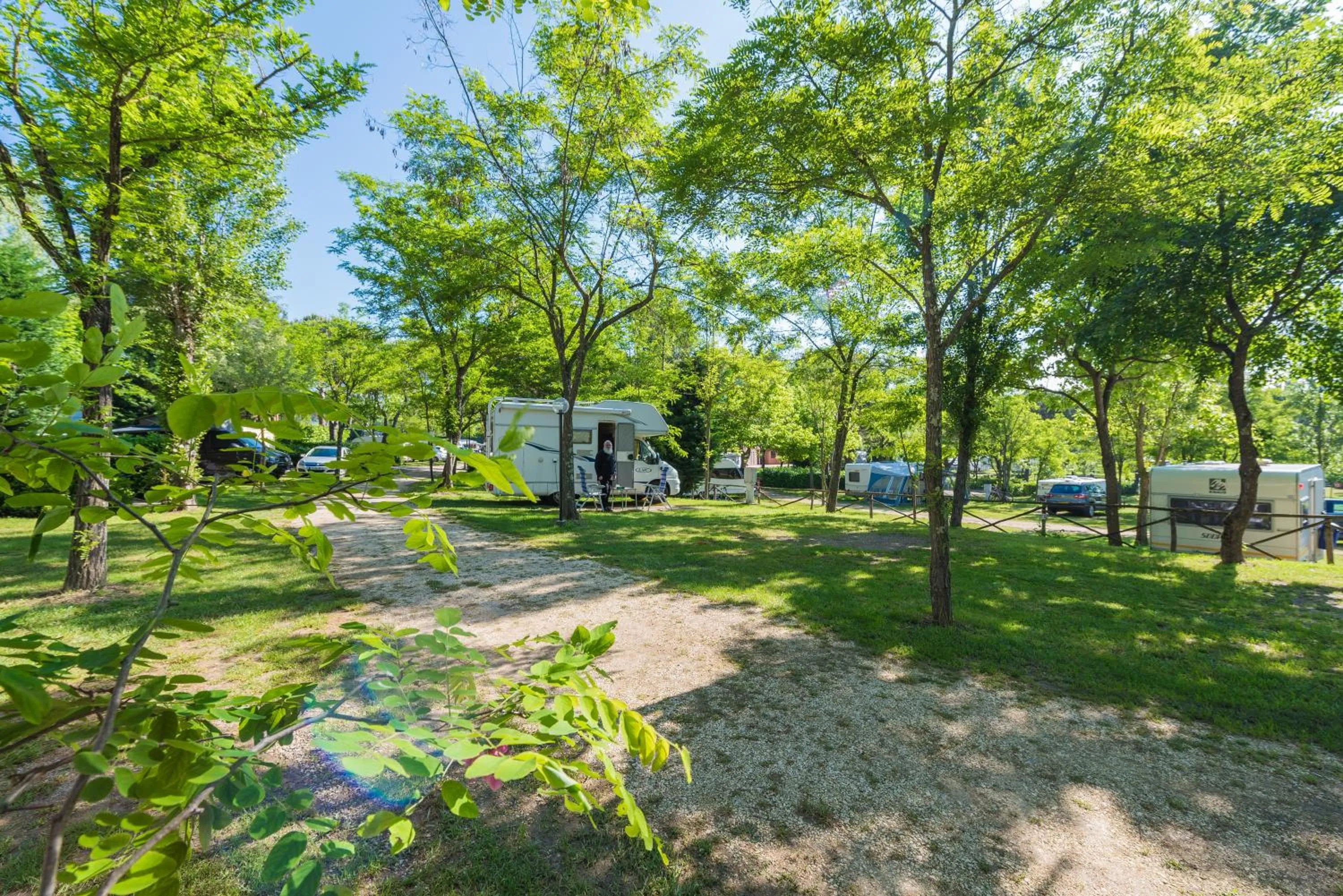 Garden view in Camping Village Il Poggetto