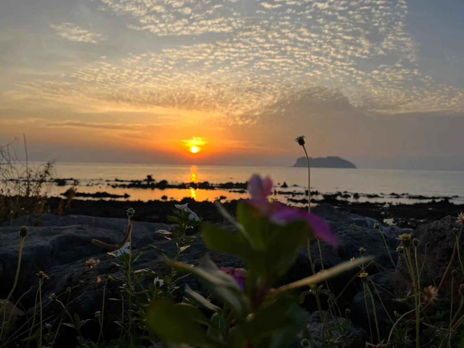 The Beach Resort & Residence - SHA Plus