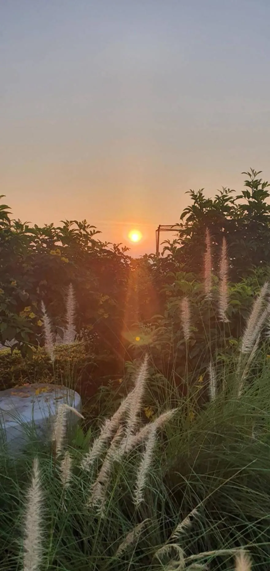 The Beach Resort & Residence - SHA Plus