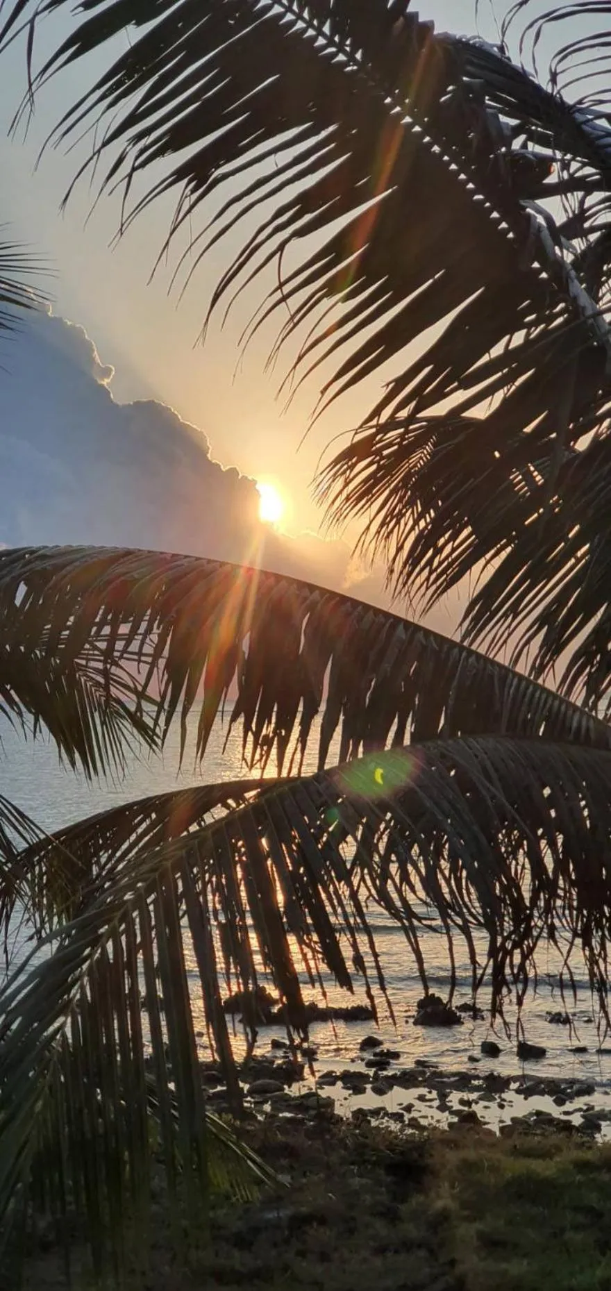 The Beach Resort & Residence - SHA Plus