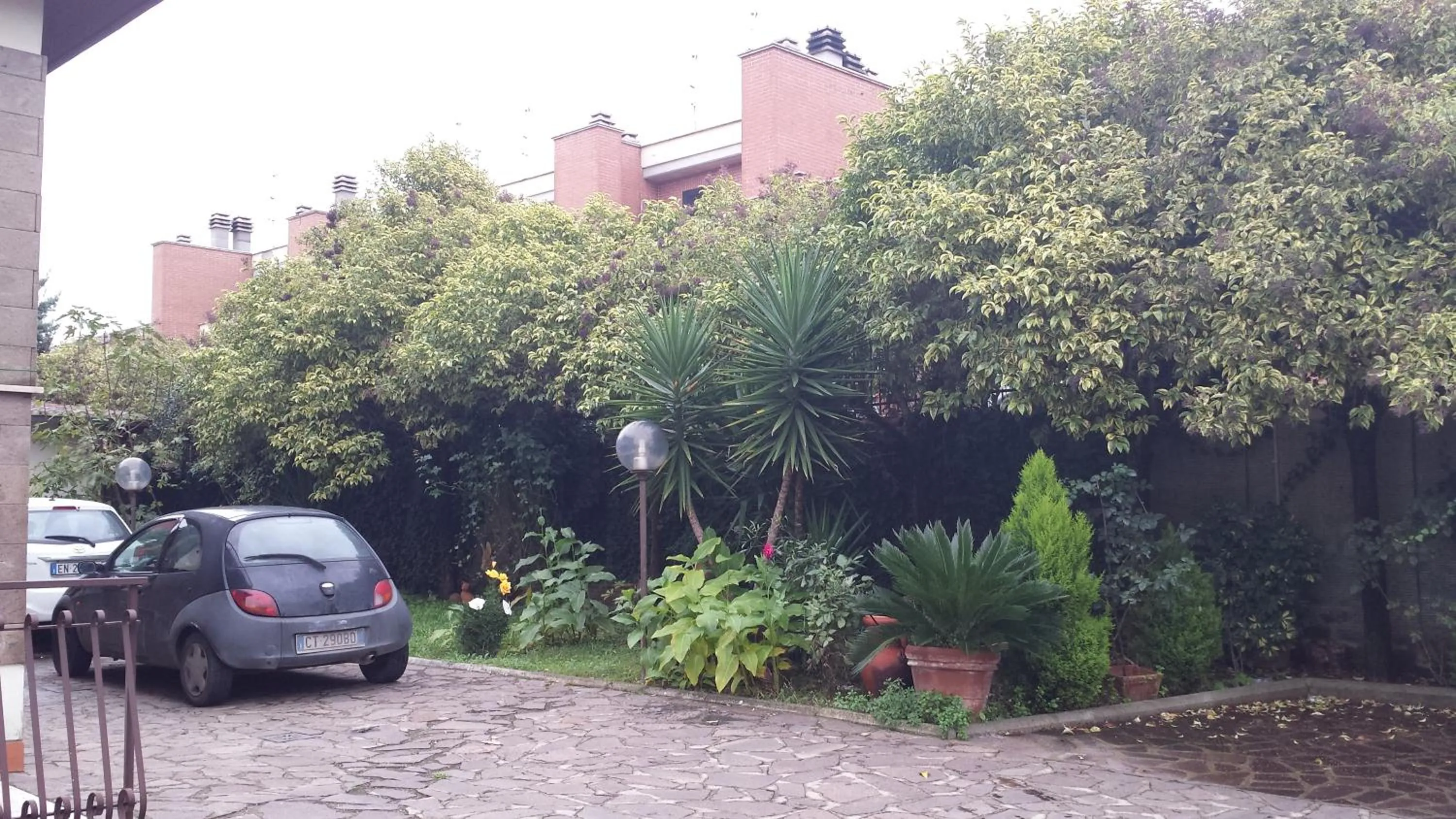 Garden in La Casa degli Artisti