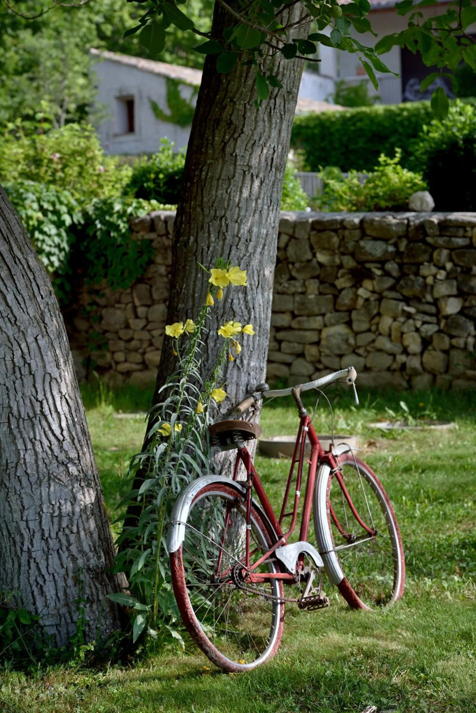 Garden in Charembeau