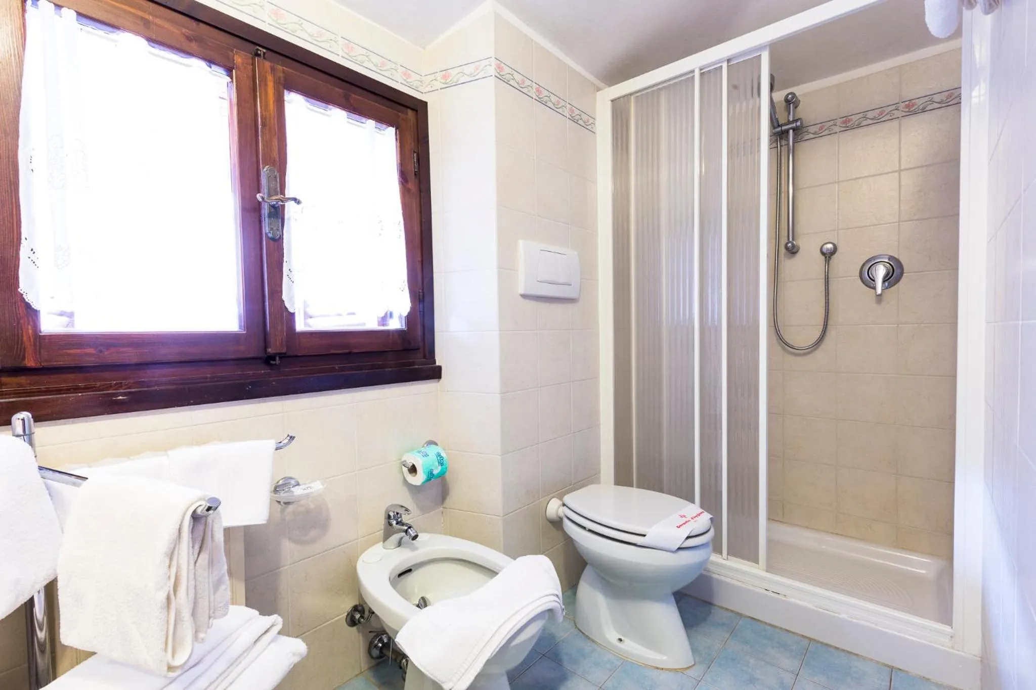 Shower in Hotel Sonia