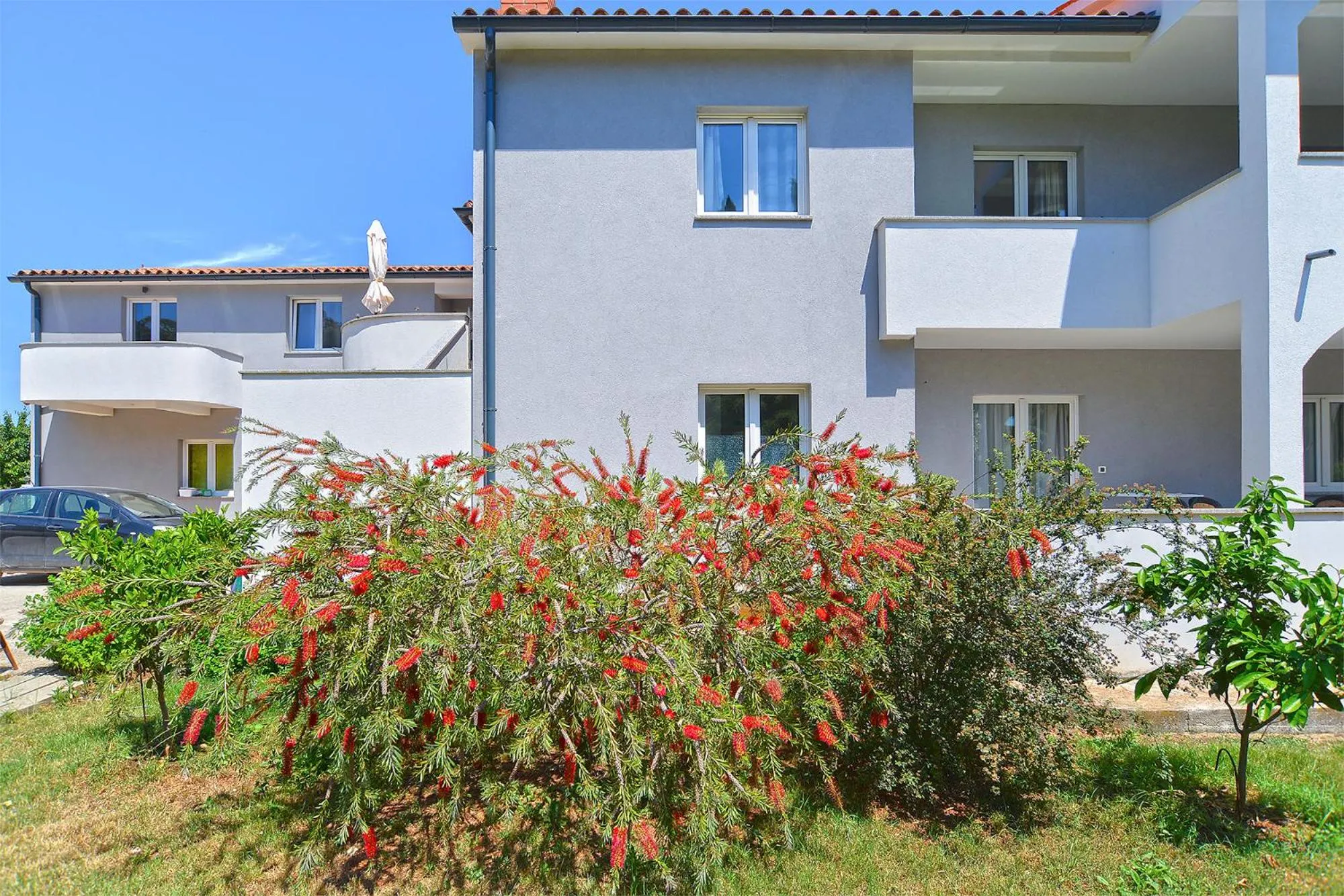 Apartments Elizabeta 1701