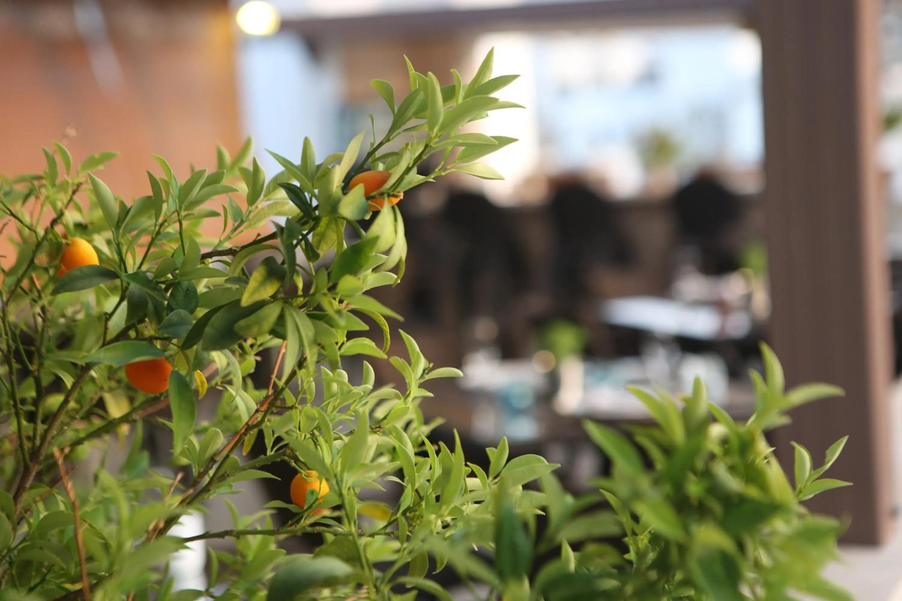 Garden in 7 Art Feslegen Hotel By Egeos