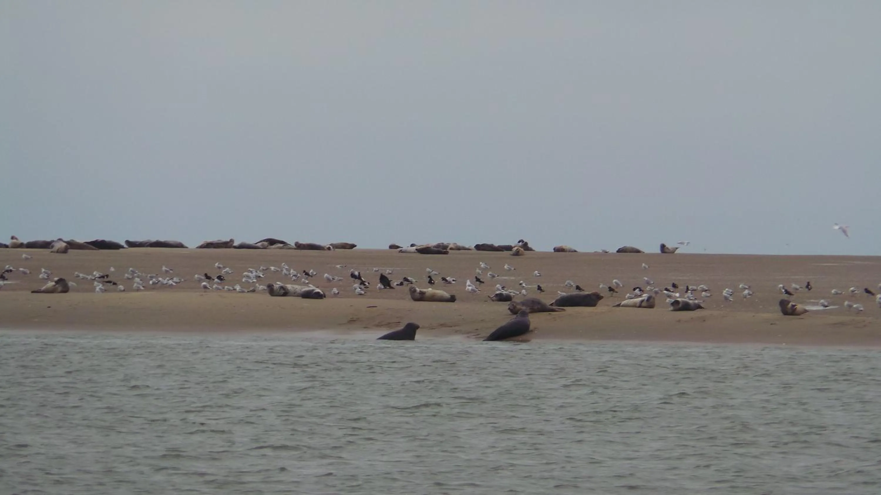 Nearby landmark in Au Cap Norwoe
