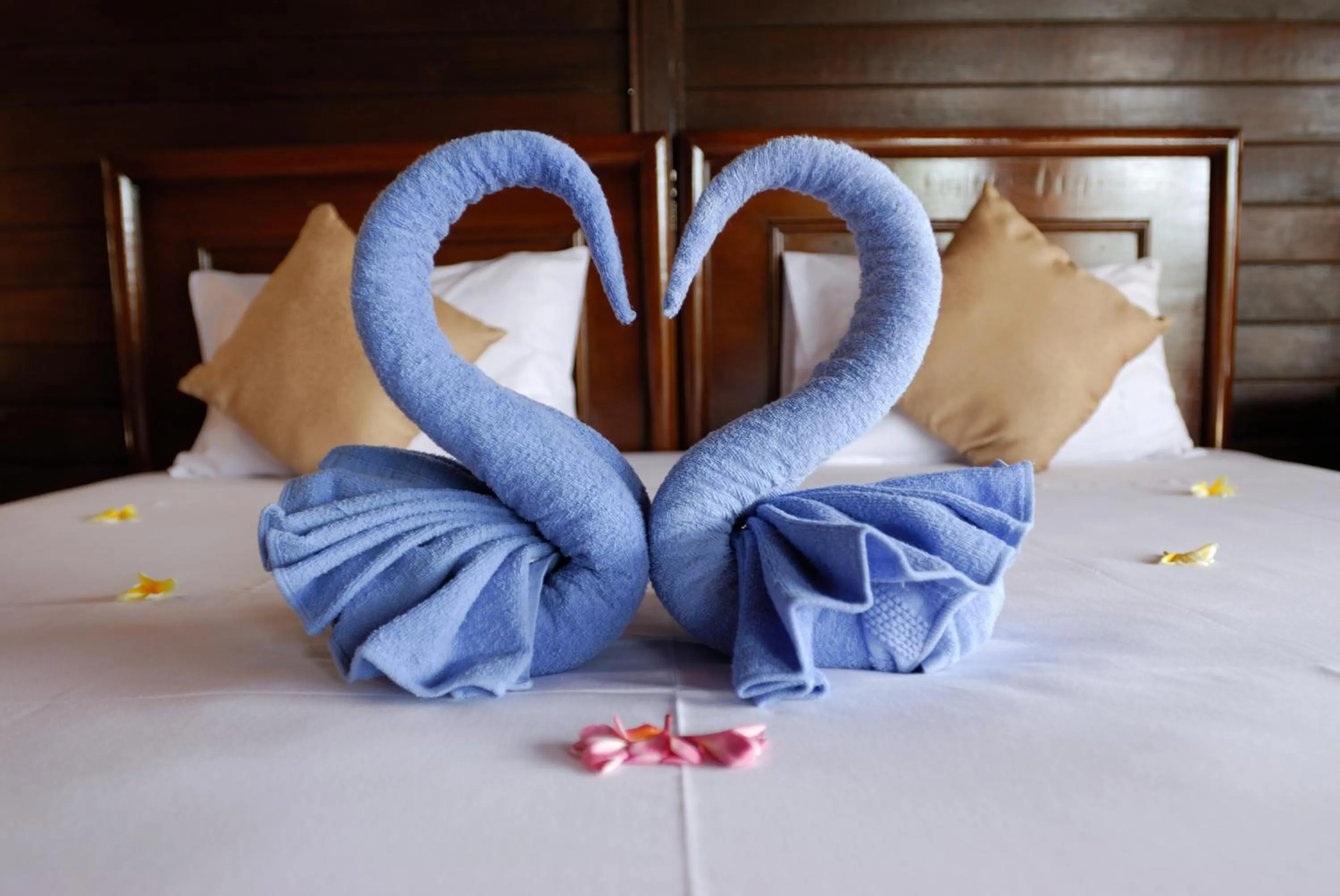 Bed in Bastianos Lembeh Dive Resort