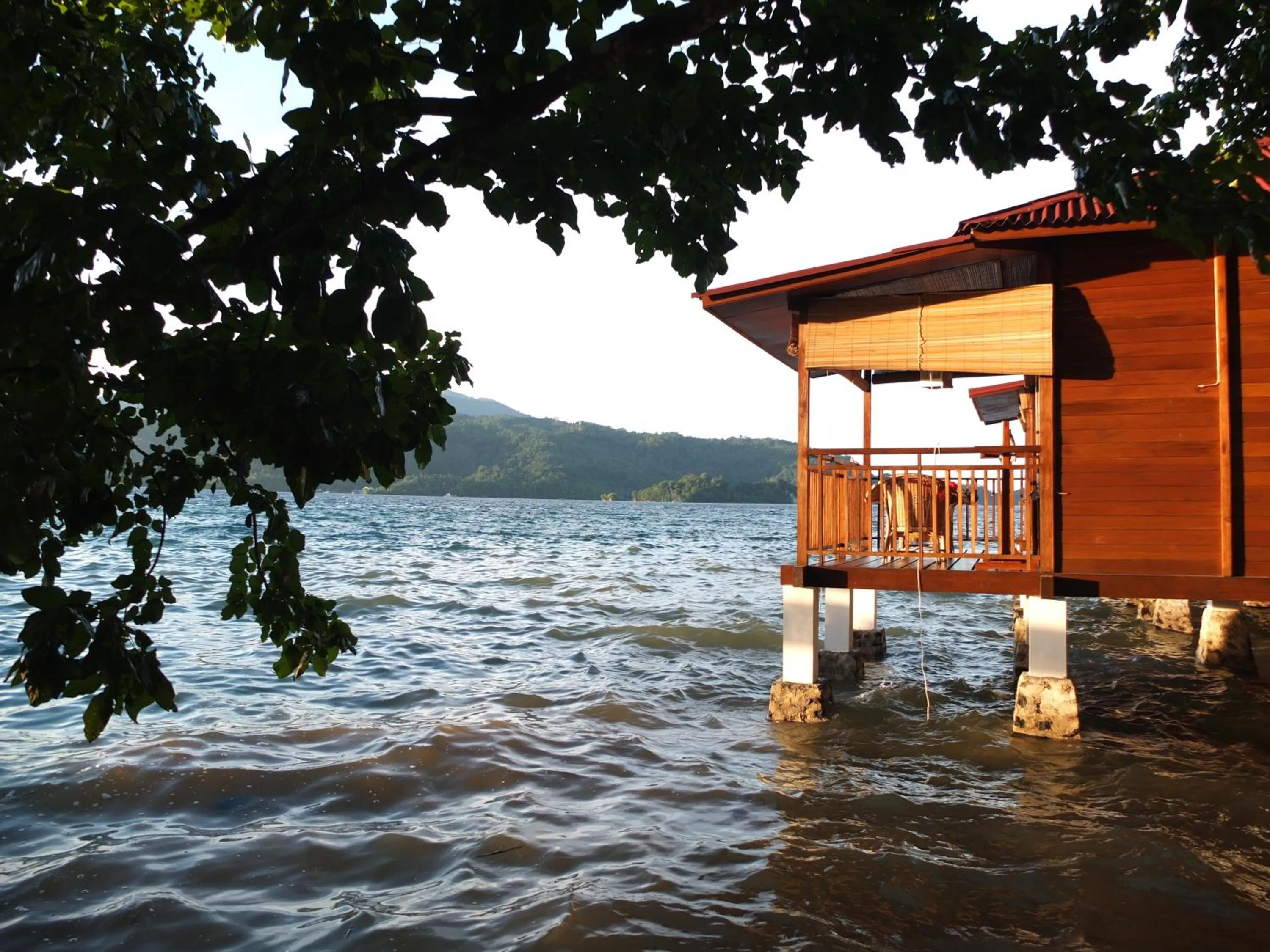 View (from property/room) in Bastianos Lembeh Dive Resort