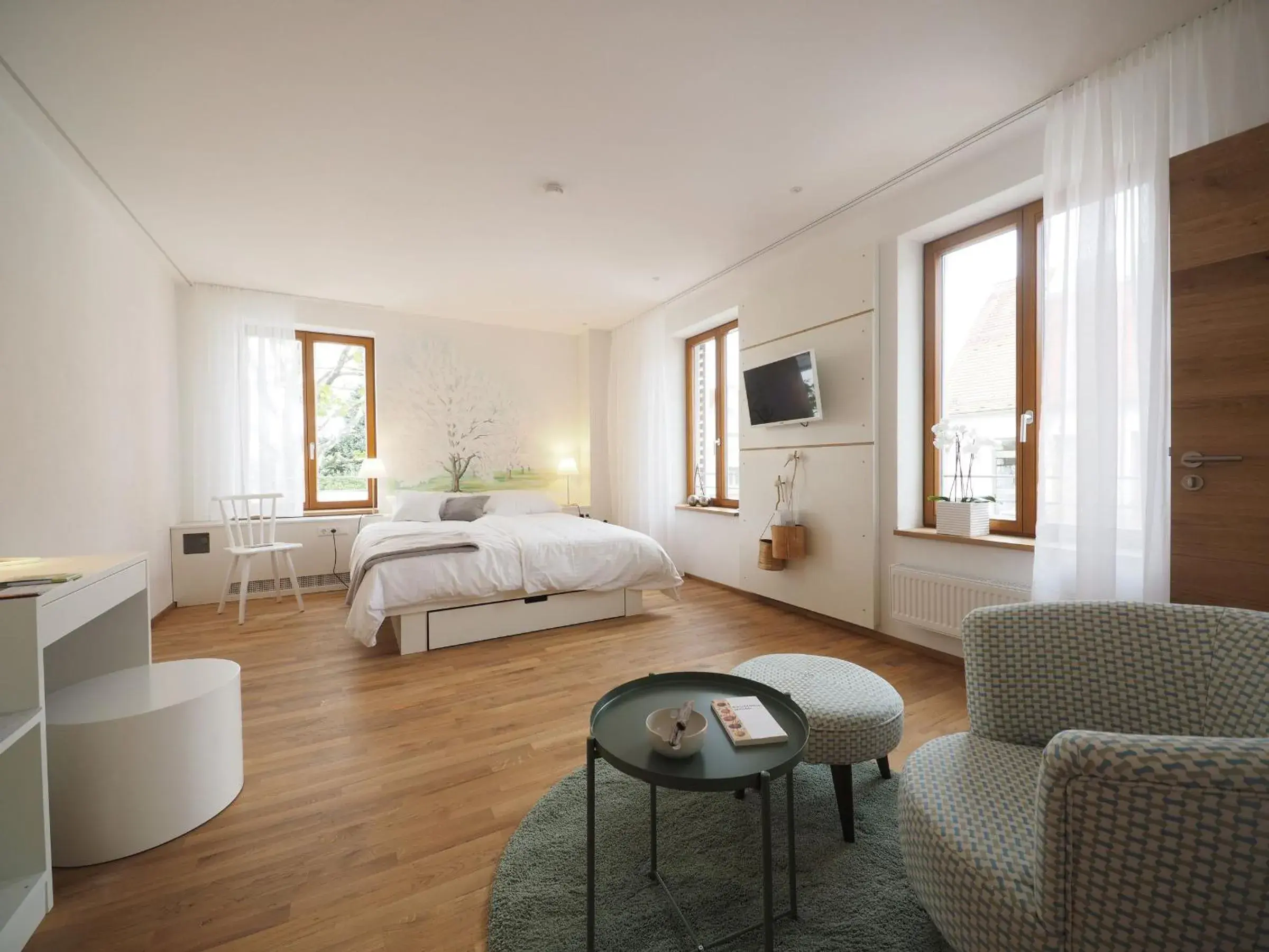Double Room - single occupancy in Gasthaus Schwanen Double Room - single occupancy in Gasthaus Schwanen