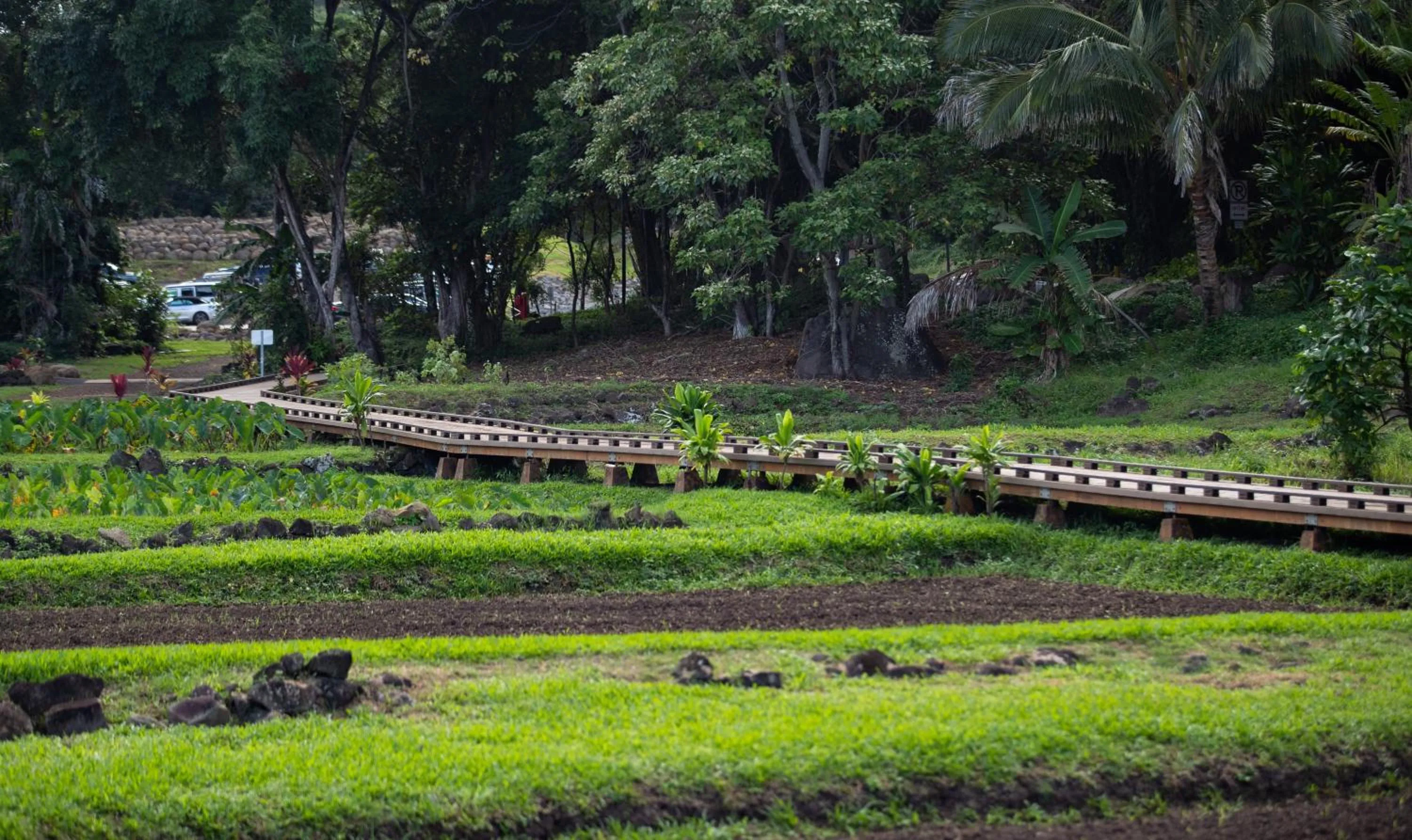 Garden in Hanalei Colony Resort