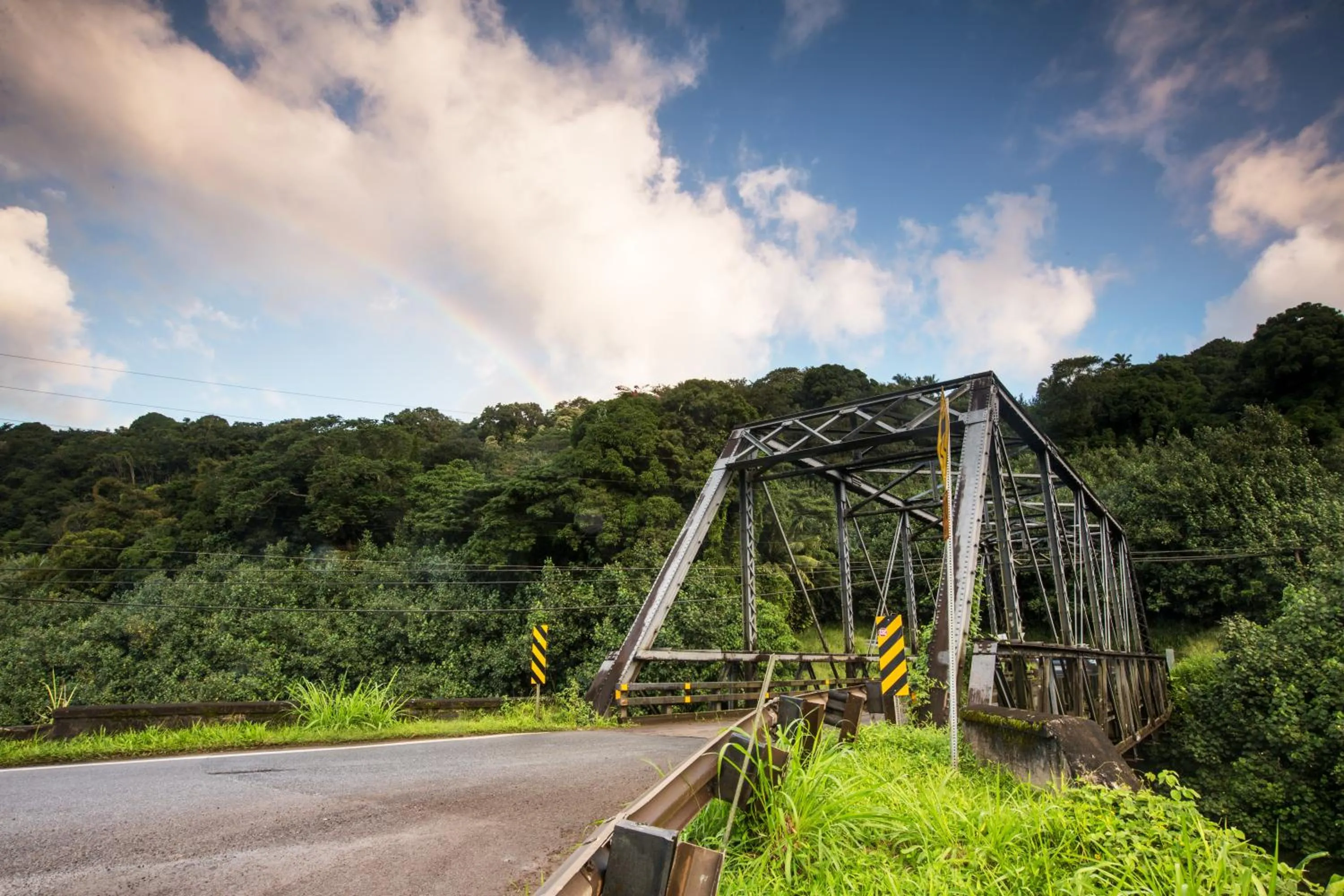 Neighbourhood in Hanalei Colony Resort