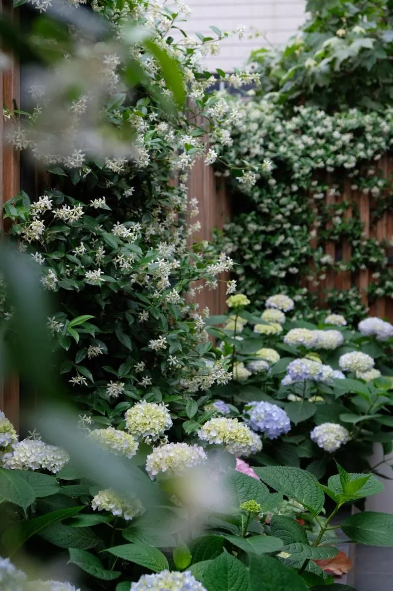 Garden view in Hantang Inn Hostel Xi'an