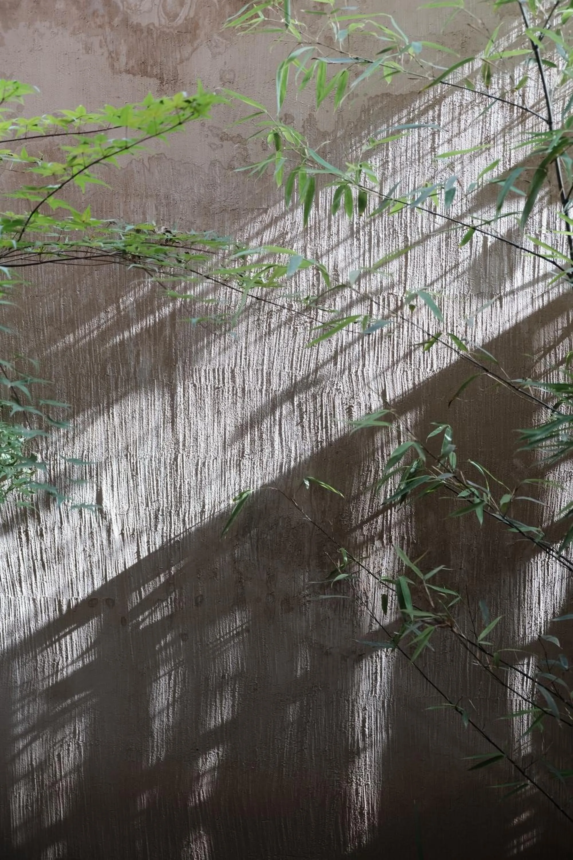 Natural landscape in Hantang Inn Hostel Xi'an