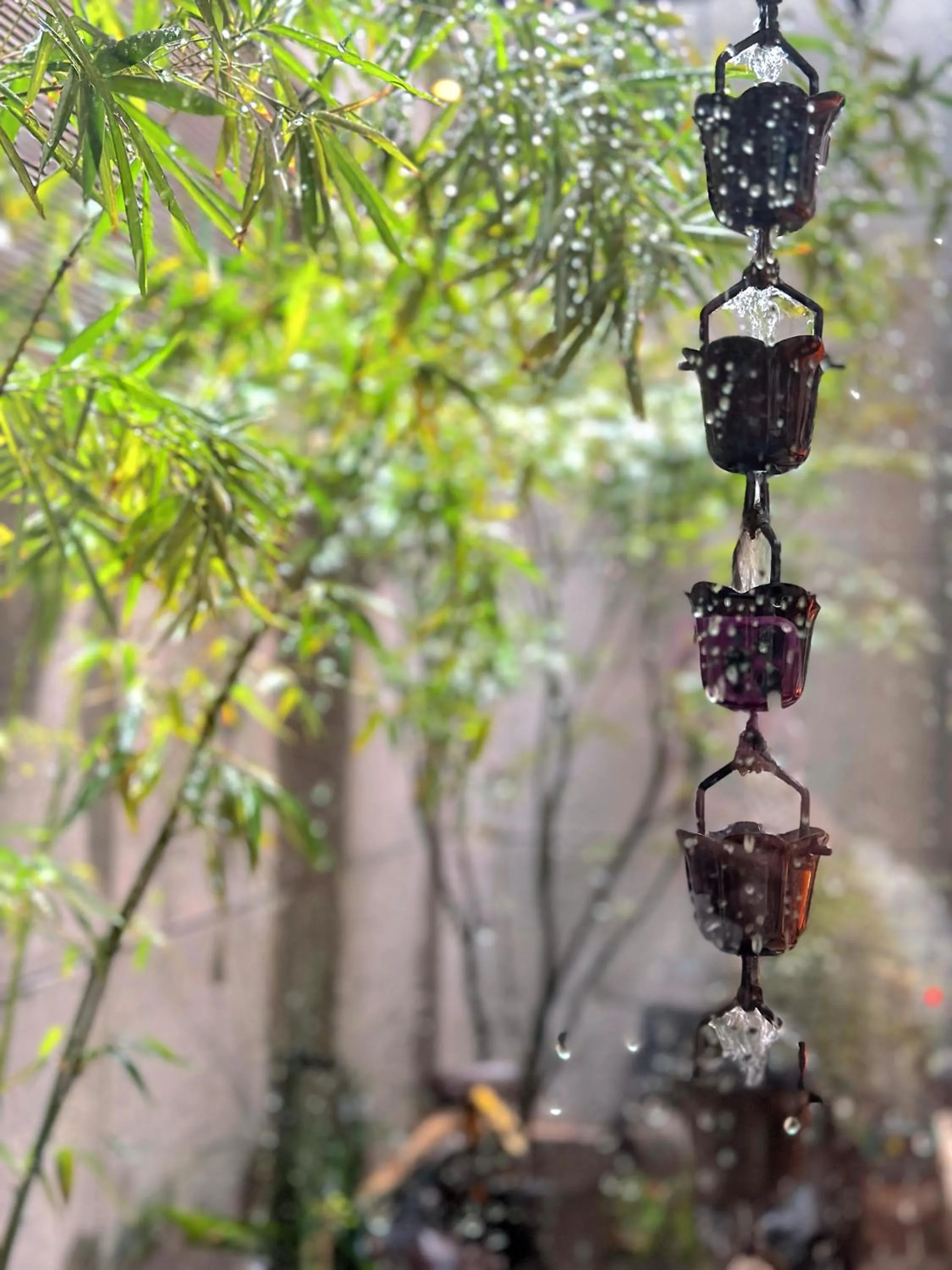 Garden in Hantang Inn Hostel Xi'an