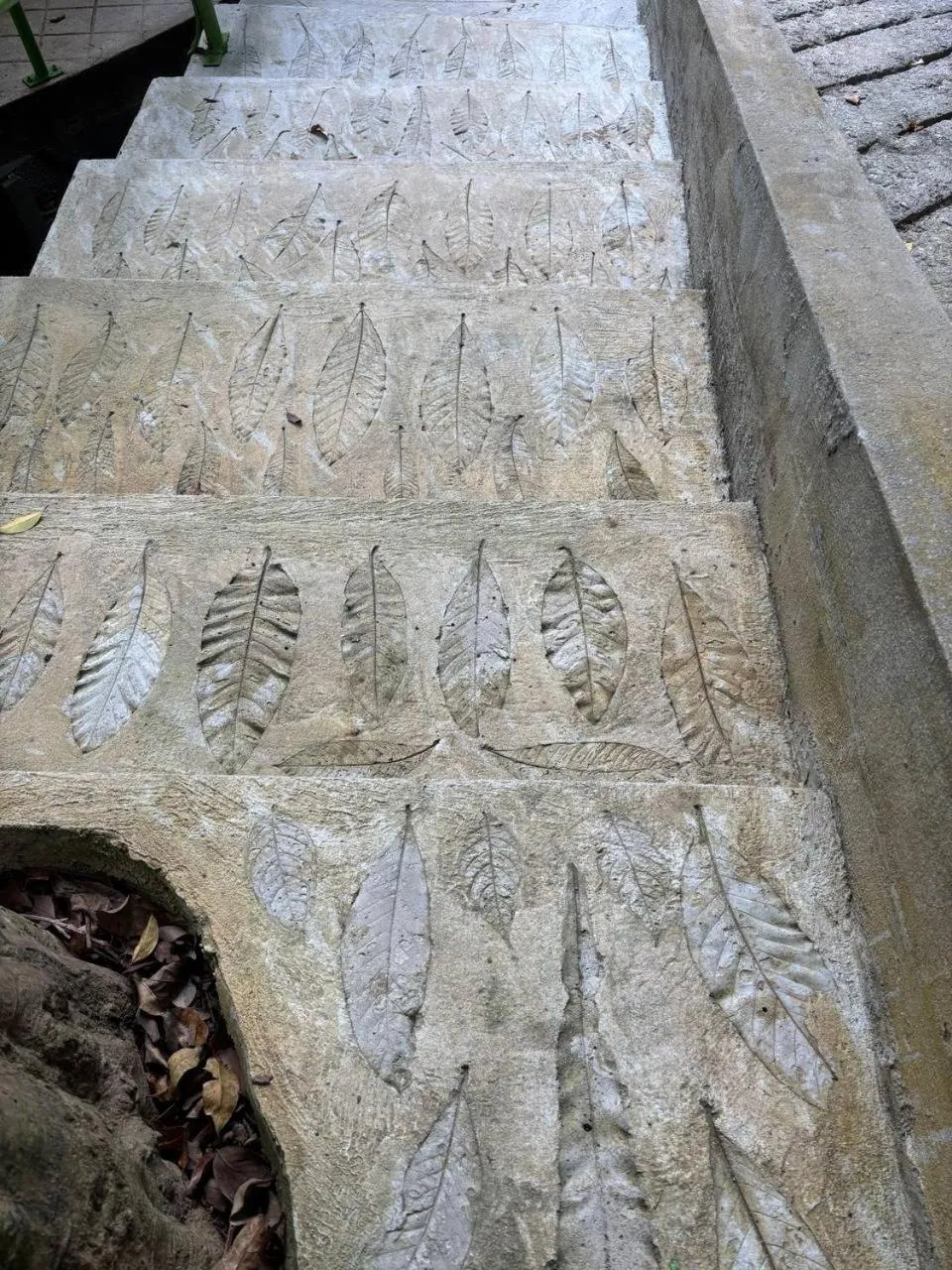 Property building in Ambong Rainforest Retreat