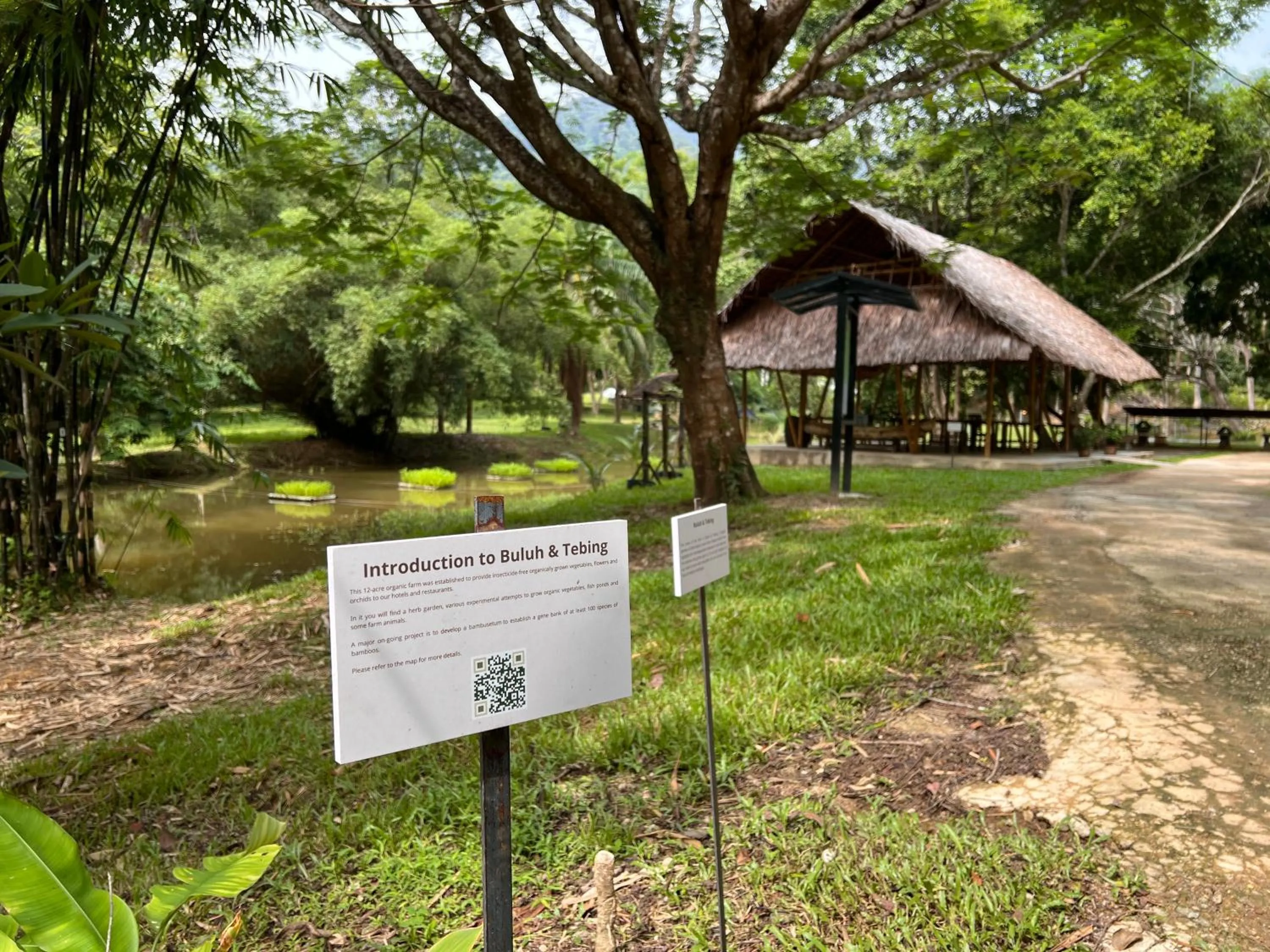 Activities in Ambong Rainforest Retreat