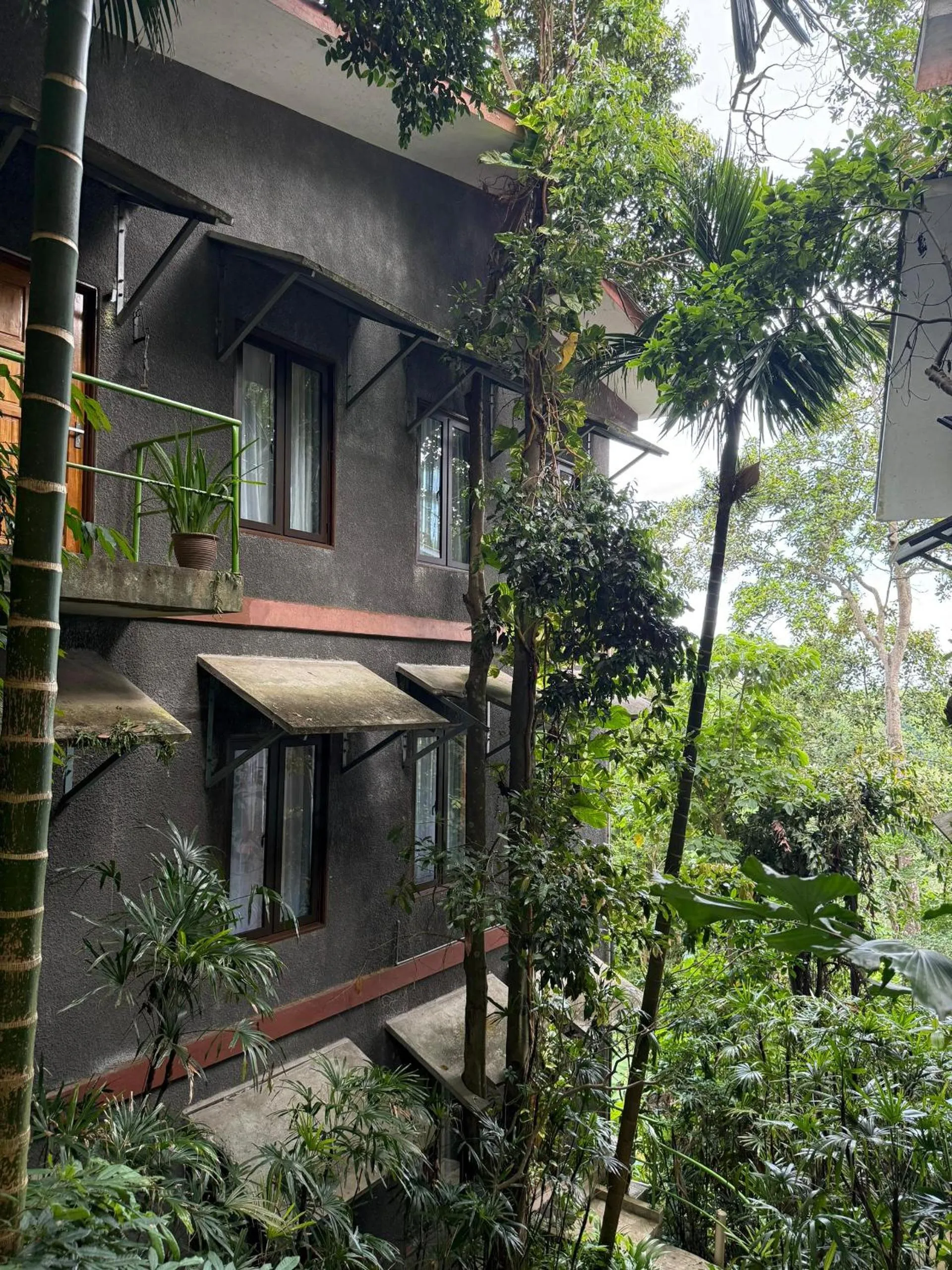 Property building in Ambong Rainforest Retreat