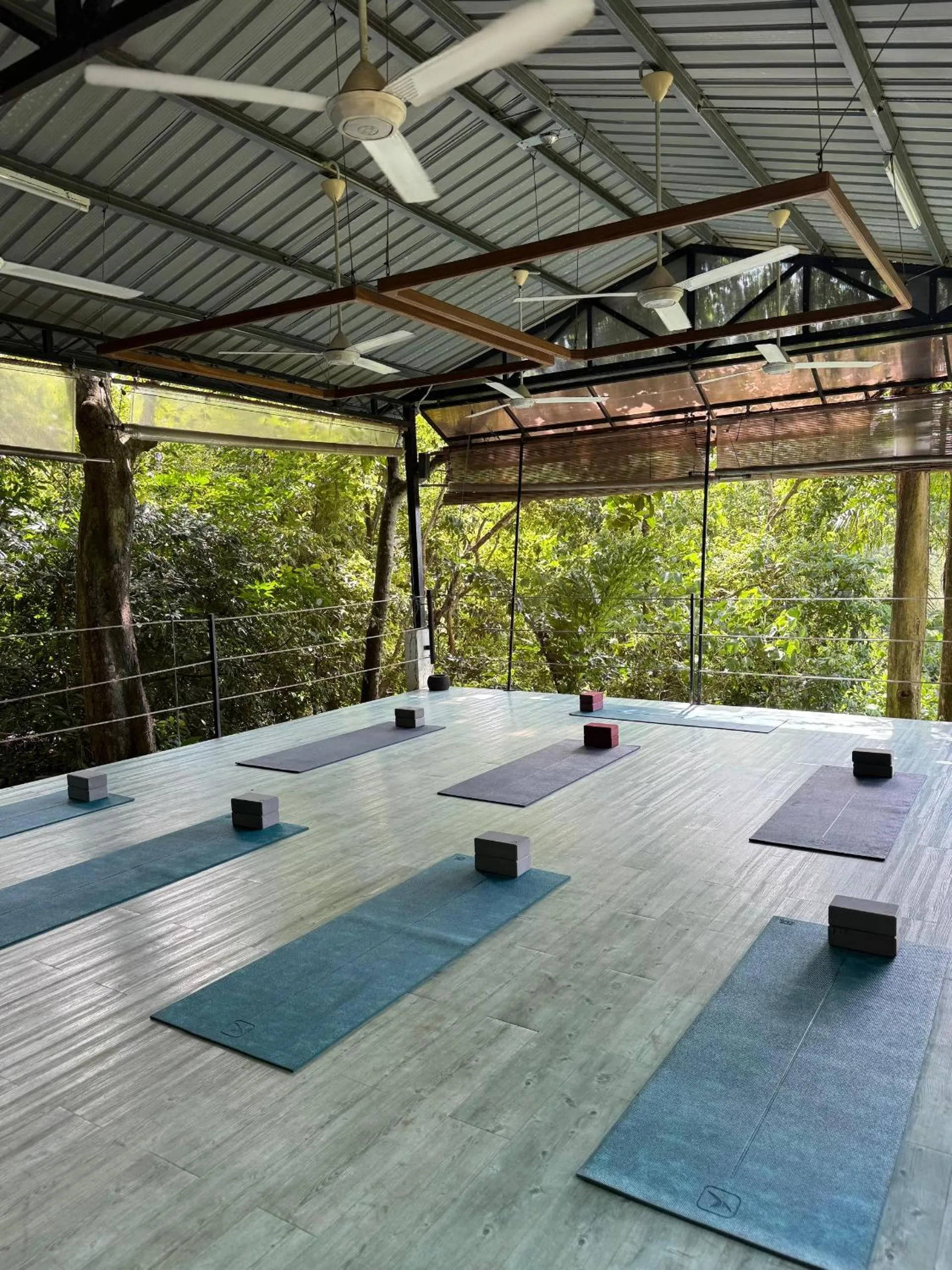 Activities in Ambong Rainforest Retreat