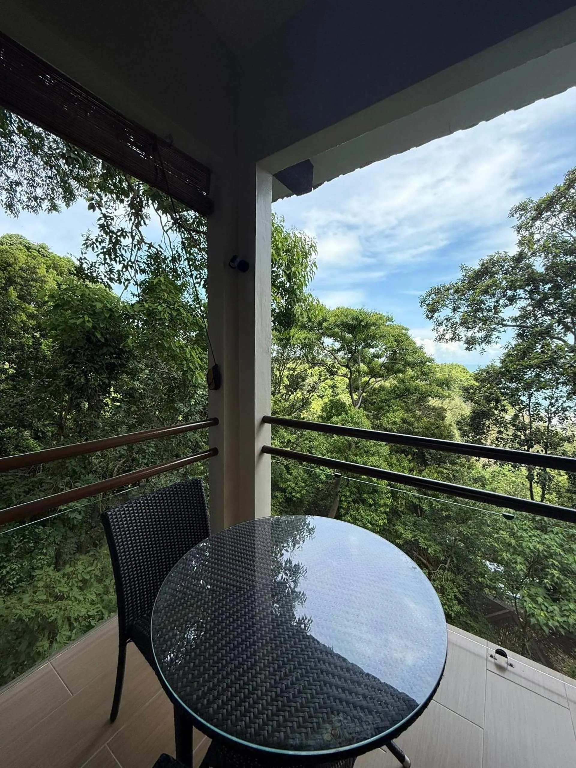 View (from property/room) in Ambong Rainforest Retreat