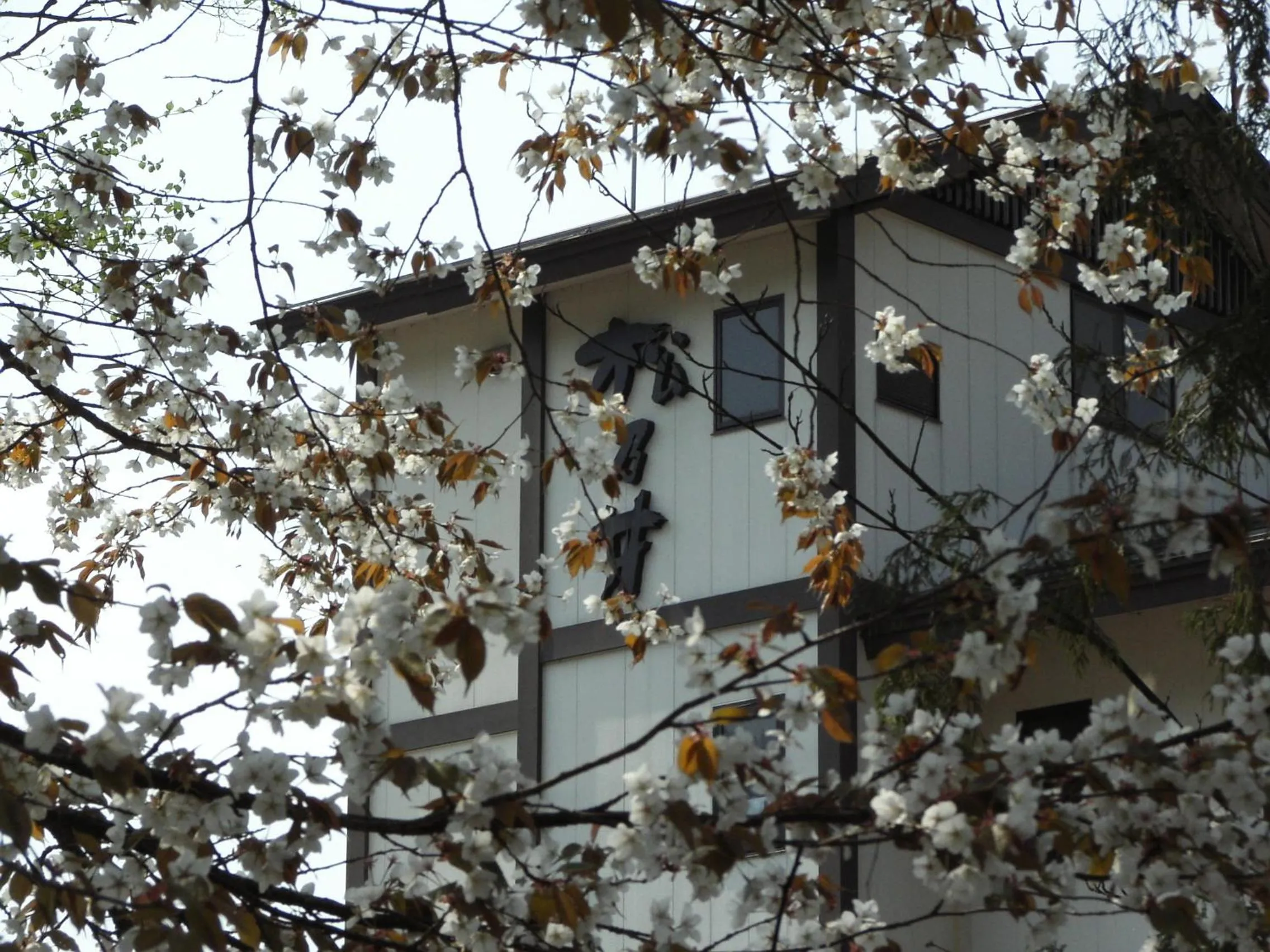 Facade/entrance in Matsunoi