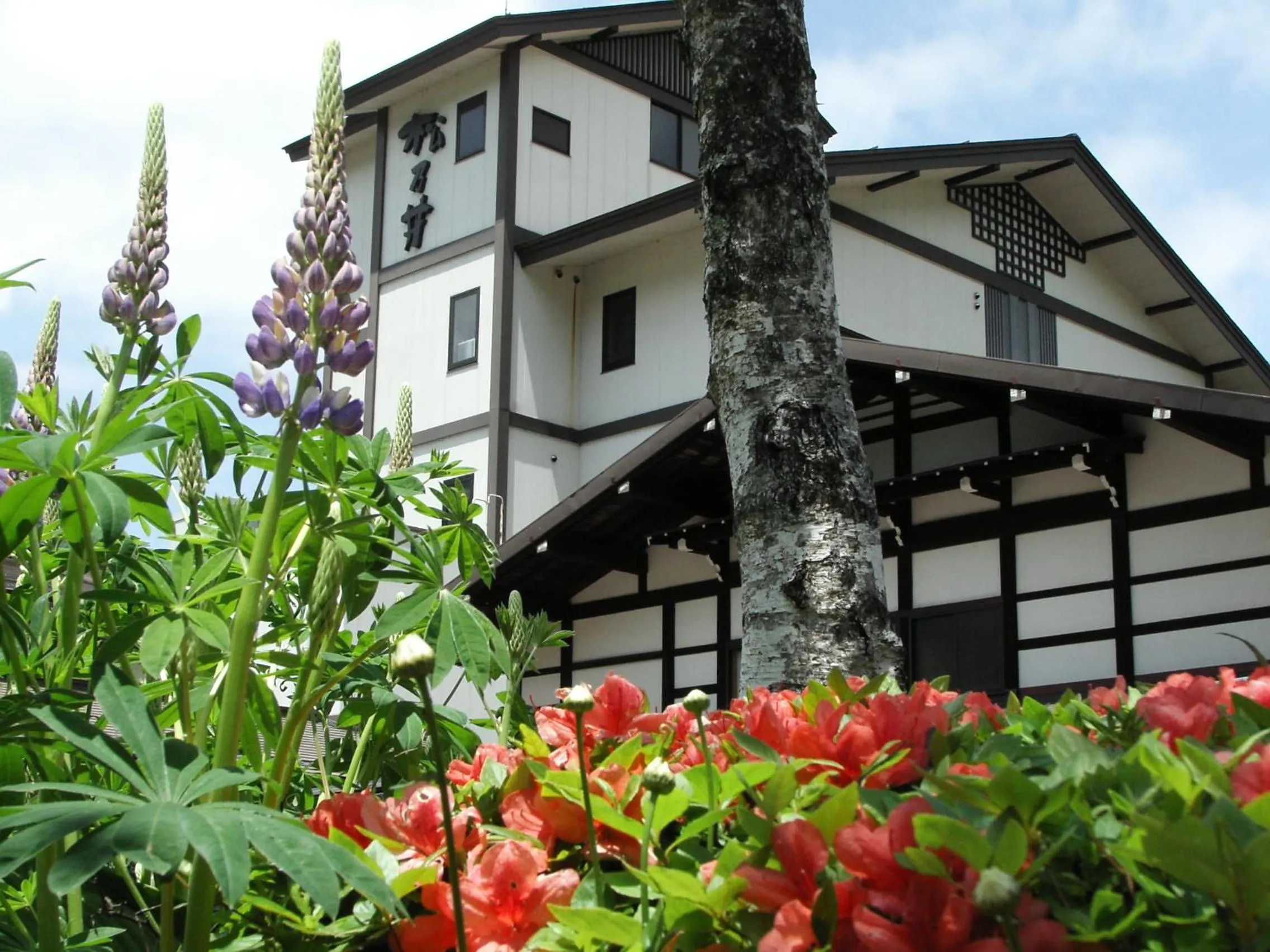 Property building in Matsunoi