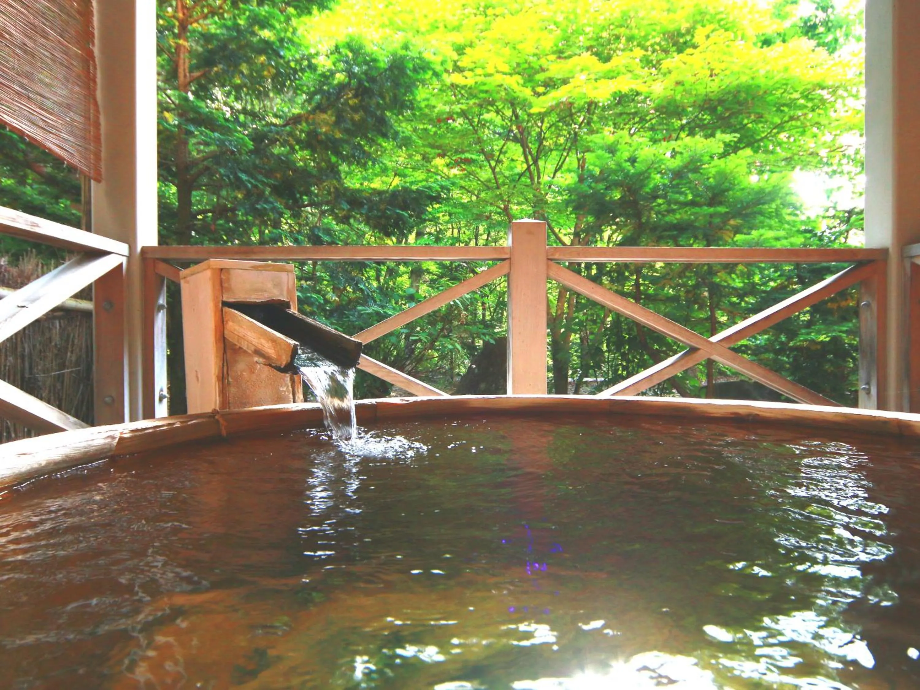 Hot Spring Bath in Matsunoi