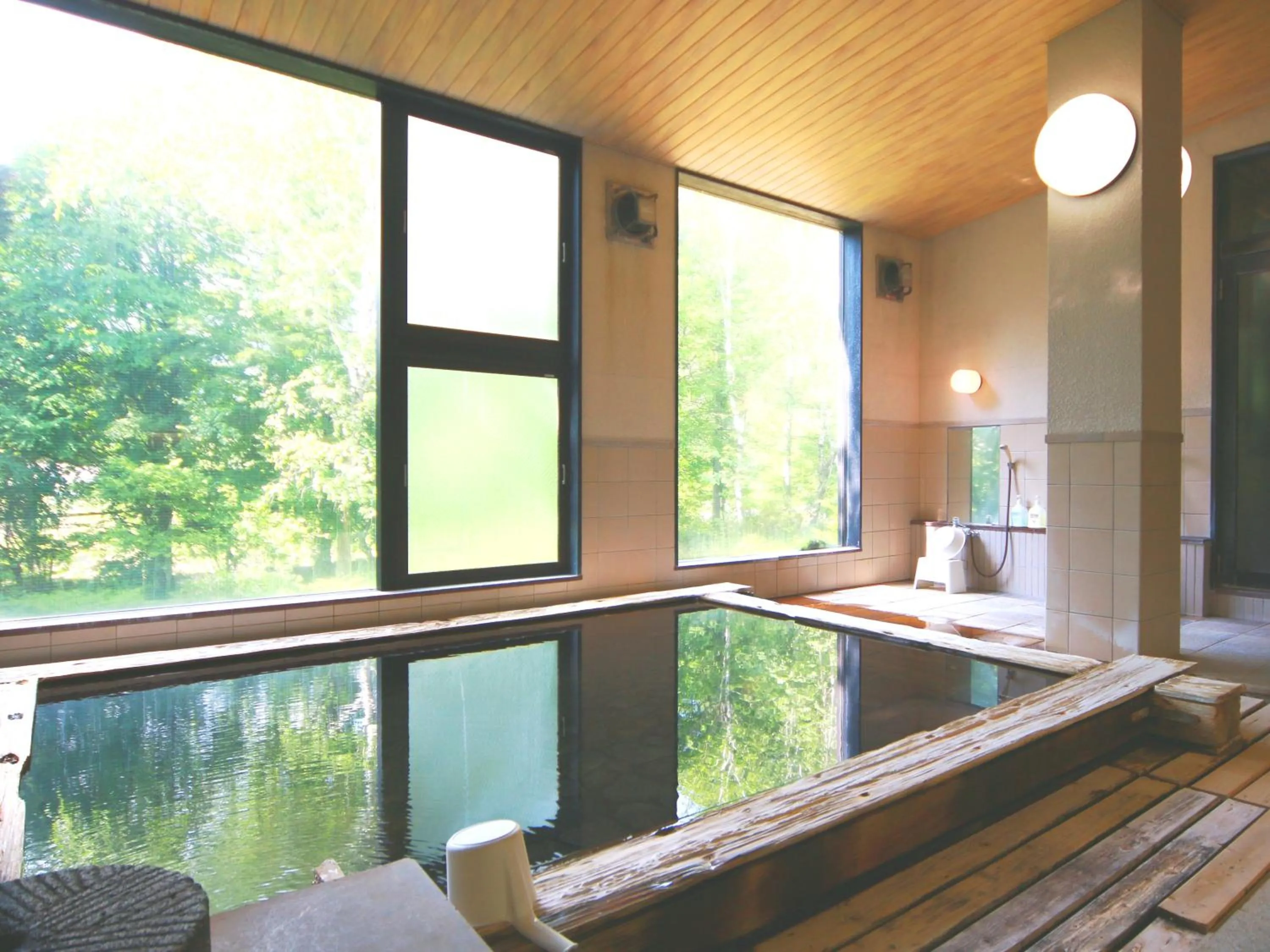 Hot Spring Bath in Matsunoi