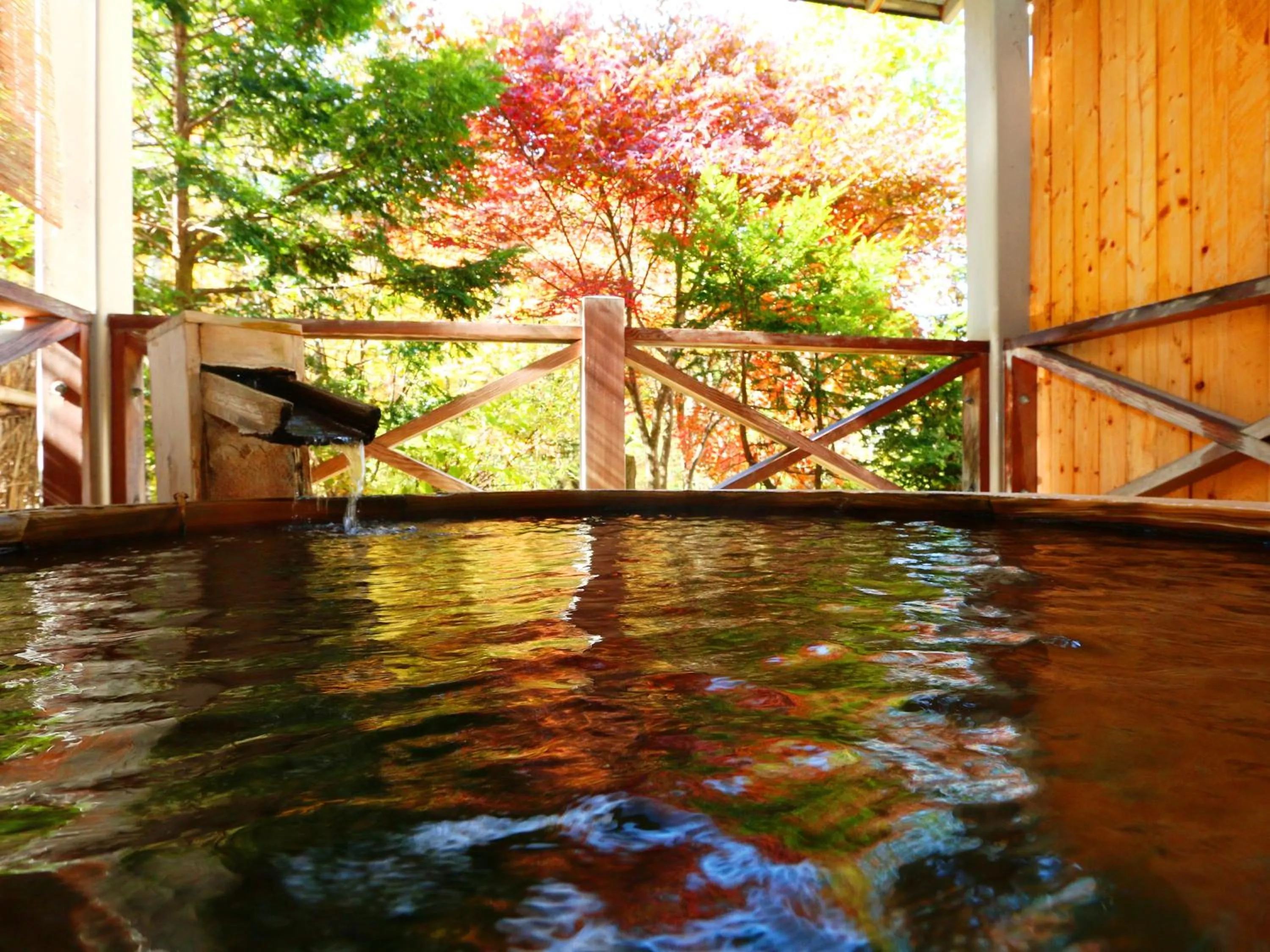 Hot Spring Bath in Matsunoi