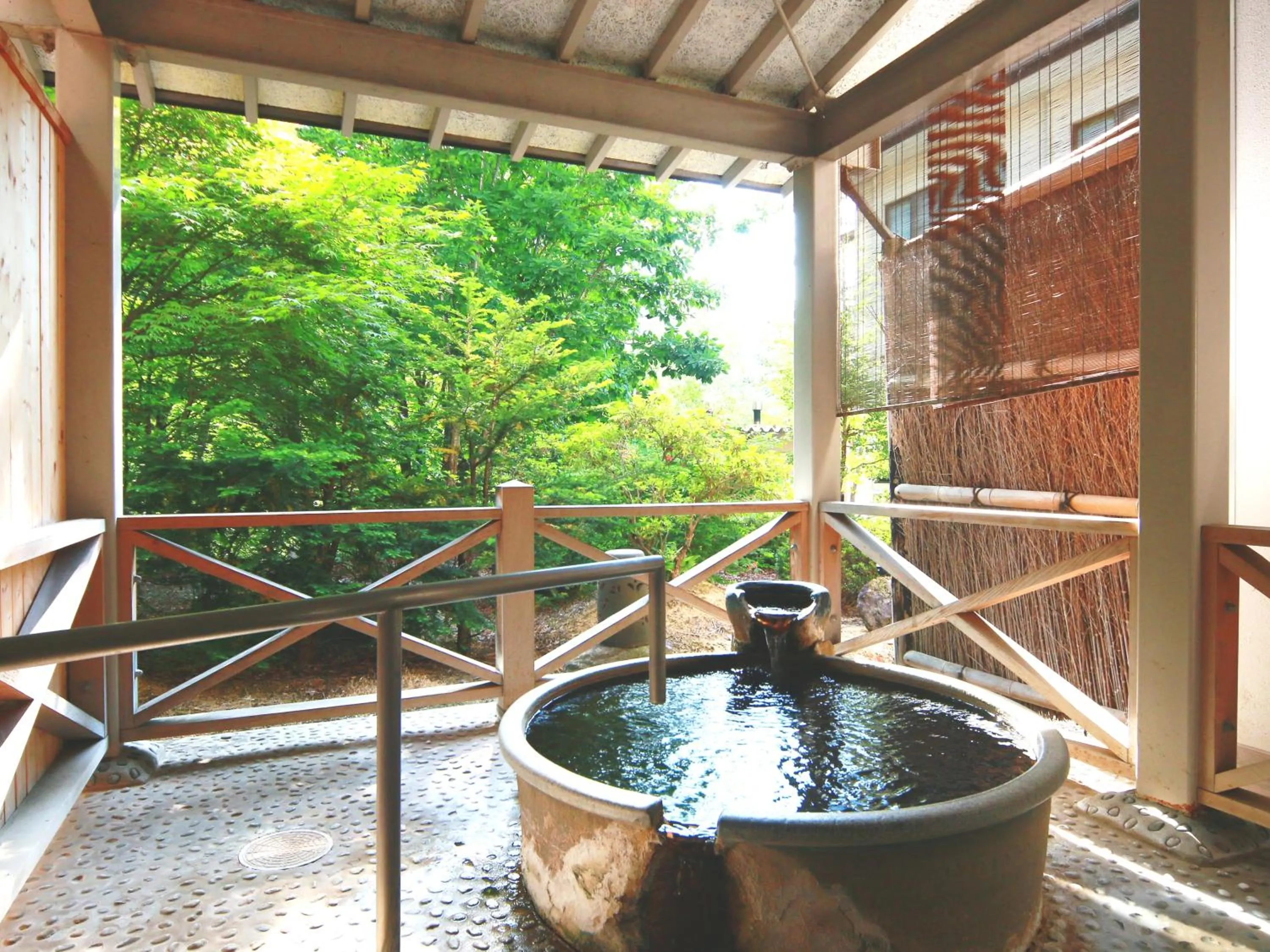Hot Spring Bath in Matsunoi