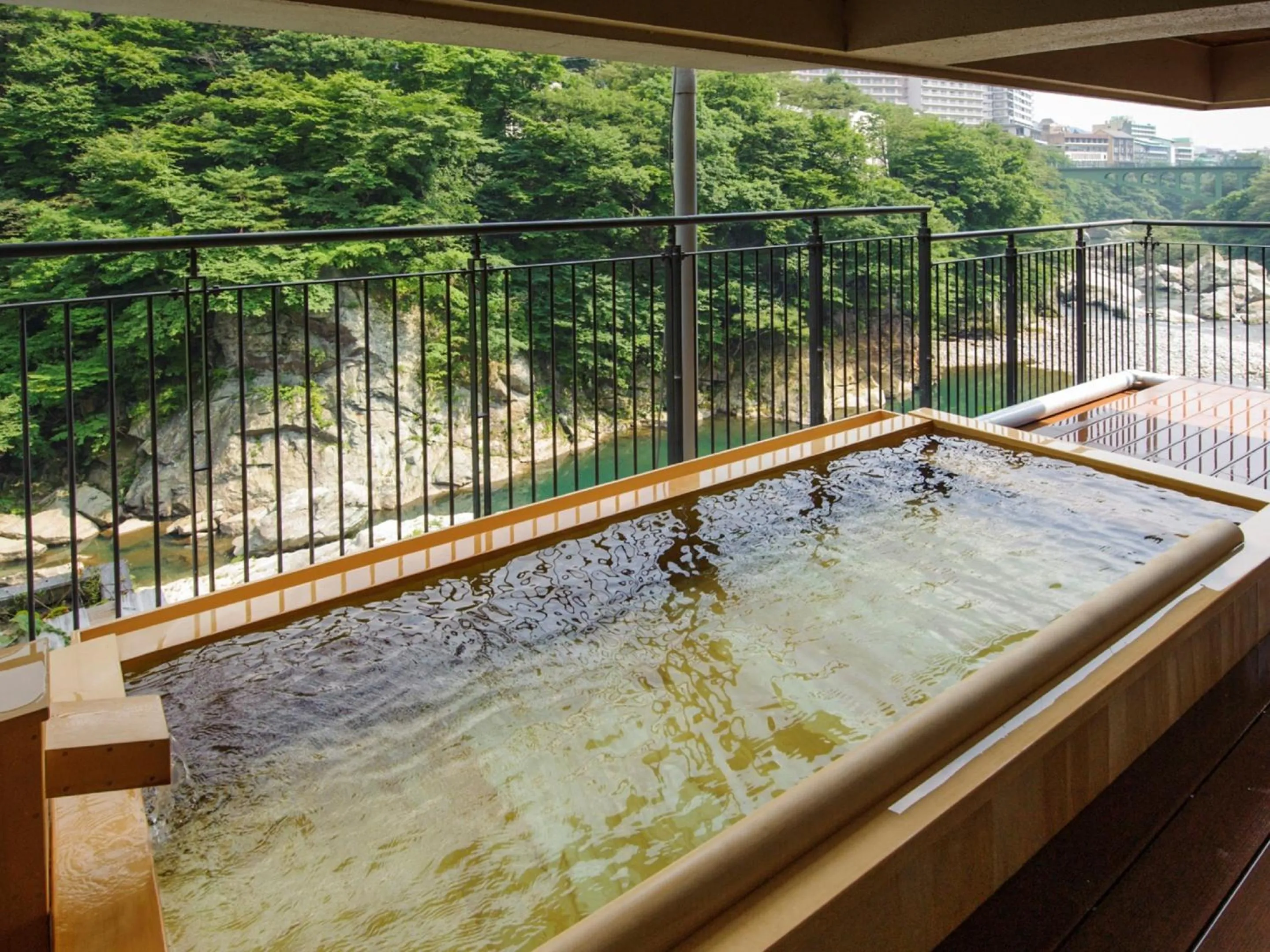 River view in Kinugawa Plaza Hotel